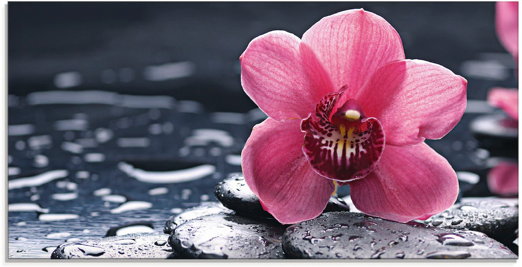 Artland Glasbild »Stillleben mit Kiesel und einer Orchidee«, Blumen, (1 St. günstig online kaufen