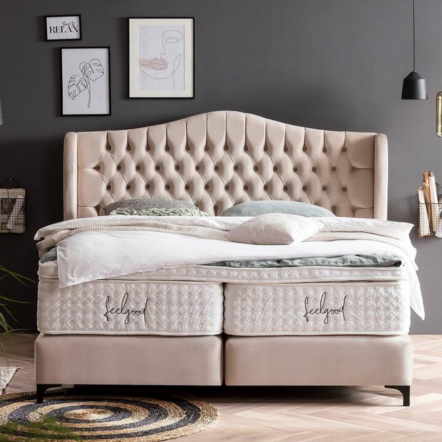 BettCo Boxspringbett Maison (in Creme Velours, 160 x 200 cm), Chesterfield, günstig online kaufen