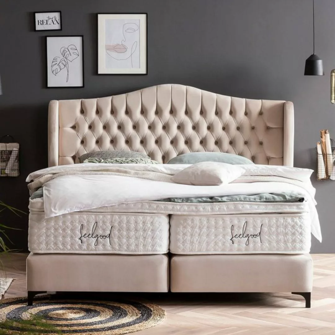 BettCo Boxspringbett Maison (in Creme Velours, 200 x 200 cm), Chesterfield, günstig online kaufen