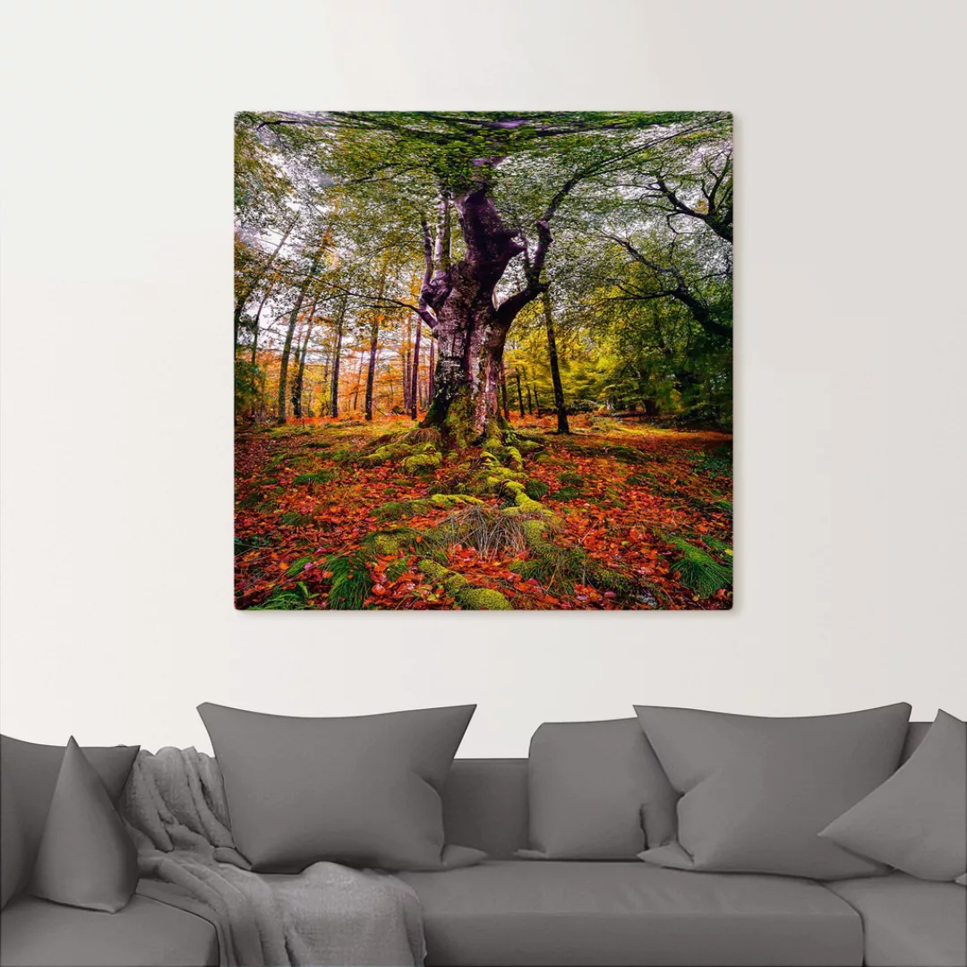 Artland Wandbild »Baum im Wald«, Baumbilder, (1 St.), als Leinwandbild, Pos günstig online kaufen