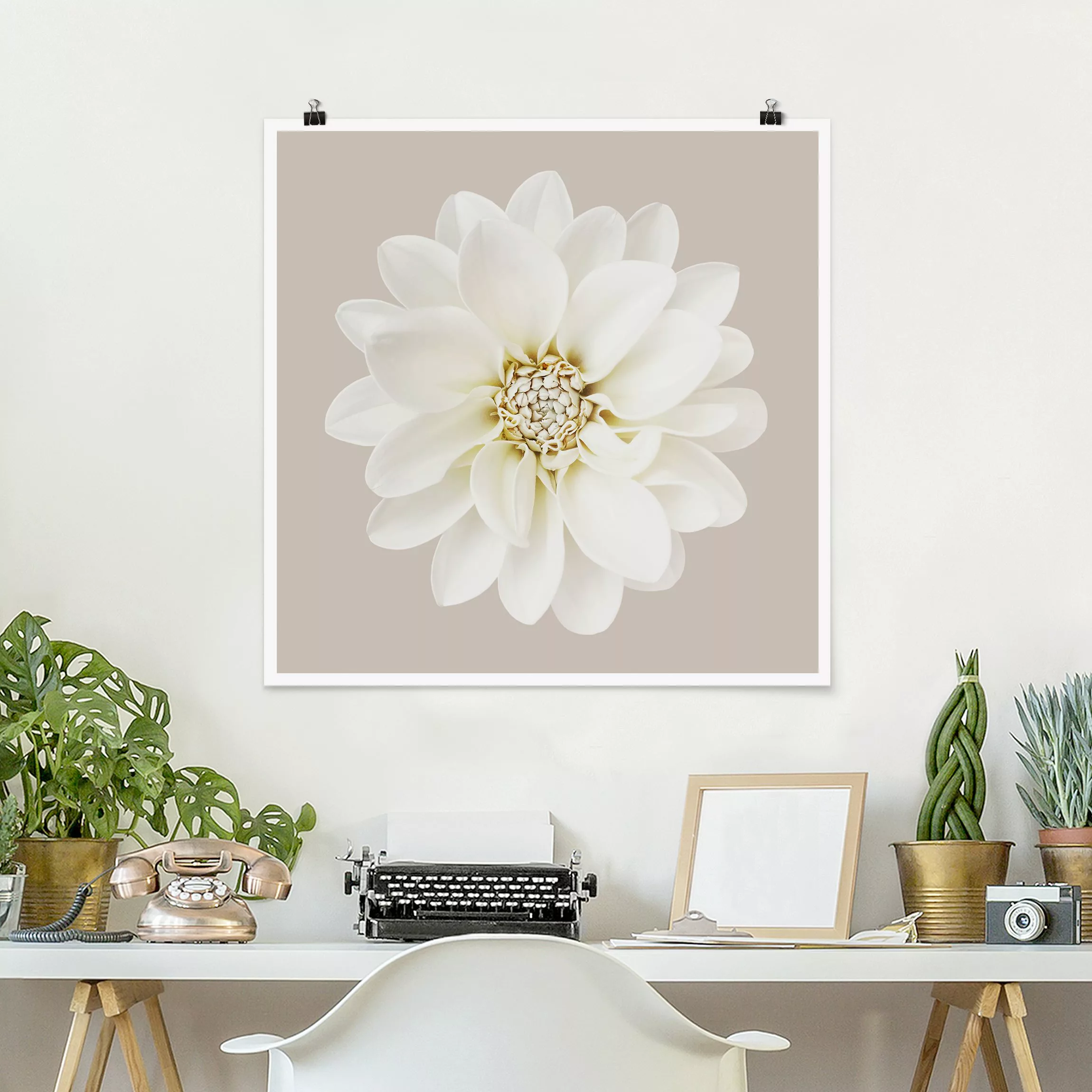 Poster Fotografie Dahlie Weiß Taupe Pastel Zentriert günstig online kaufen