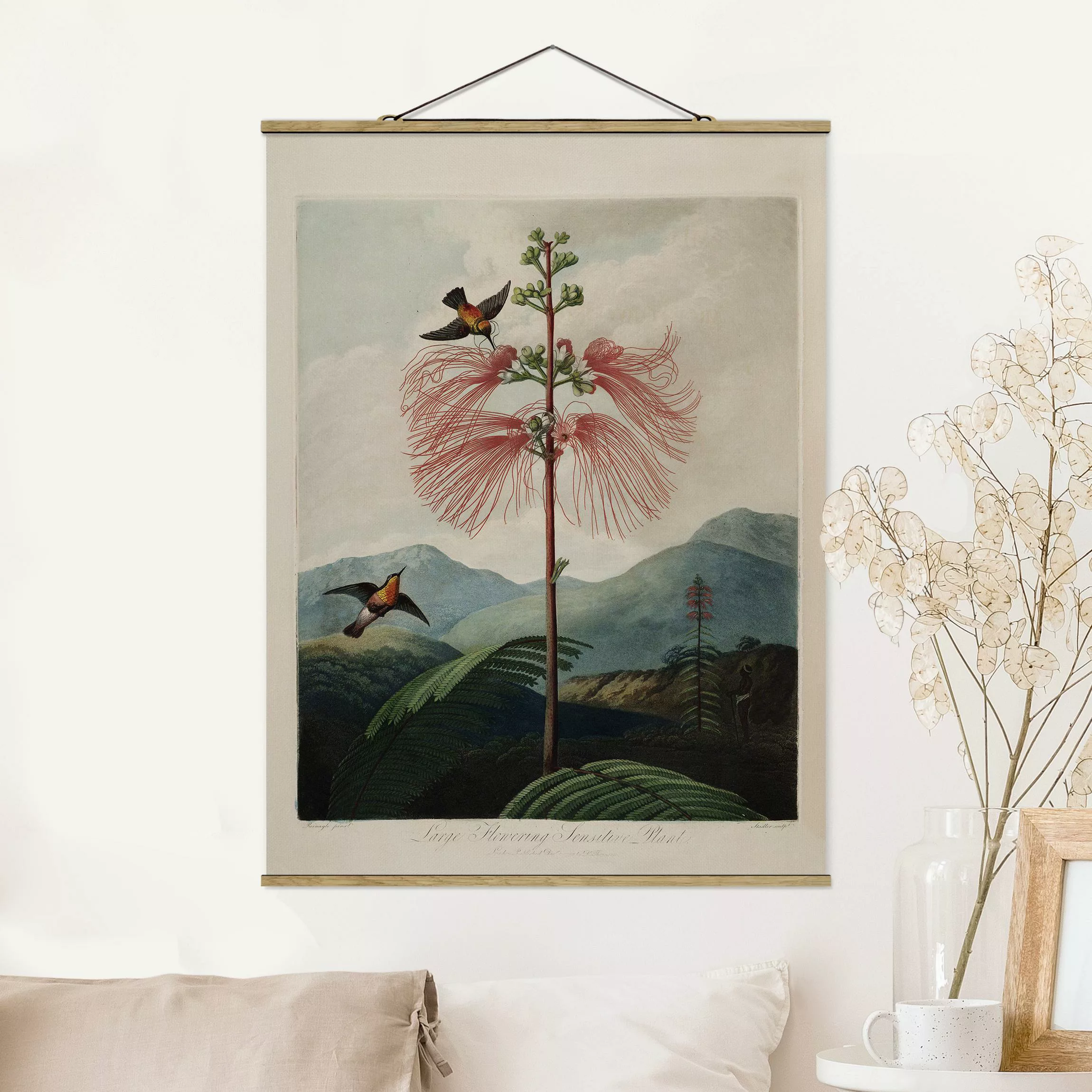 home24 Stoffbild Botanik Blüte & Kolibri günstig online kaufen