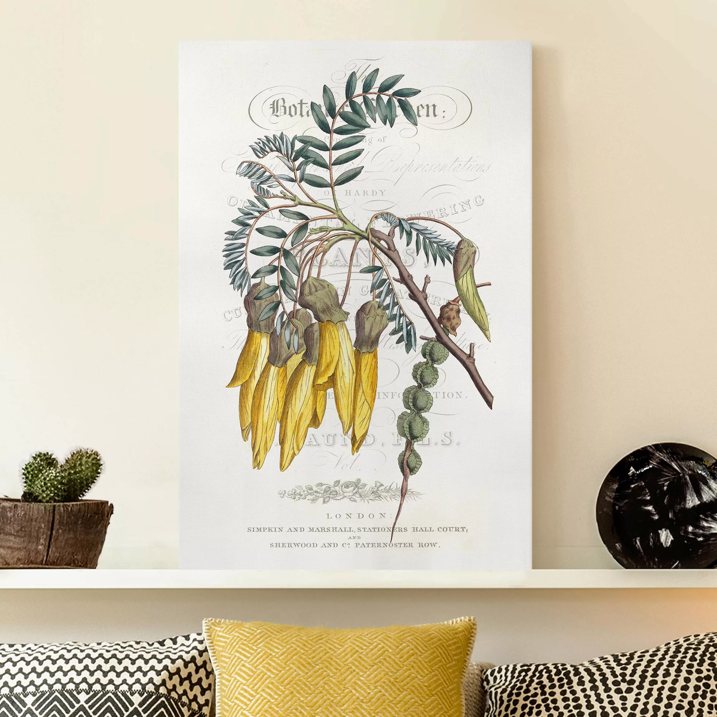 Leinwandbild Spruch - Hochformat Botanisches Tableau - Schnurbaum günstig online kaufen