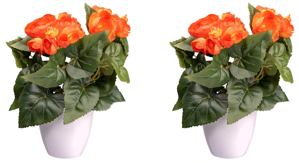 Creativ green Kunstblume "Begonienbusch" günstig online kaufen