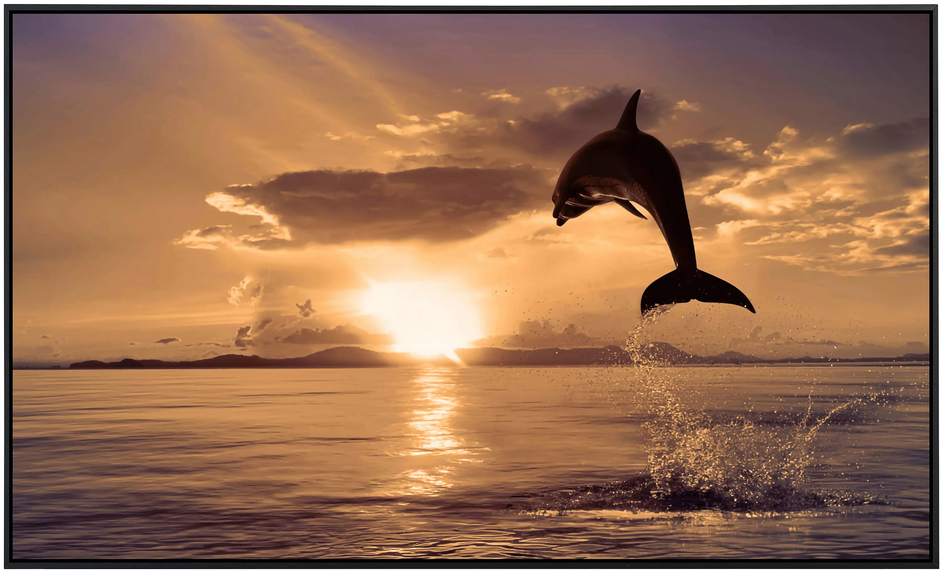 Papermoon Infrarotheizung »Springender Delphin«, sehr angenehme Strahlungsw günstig online kaufen