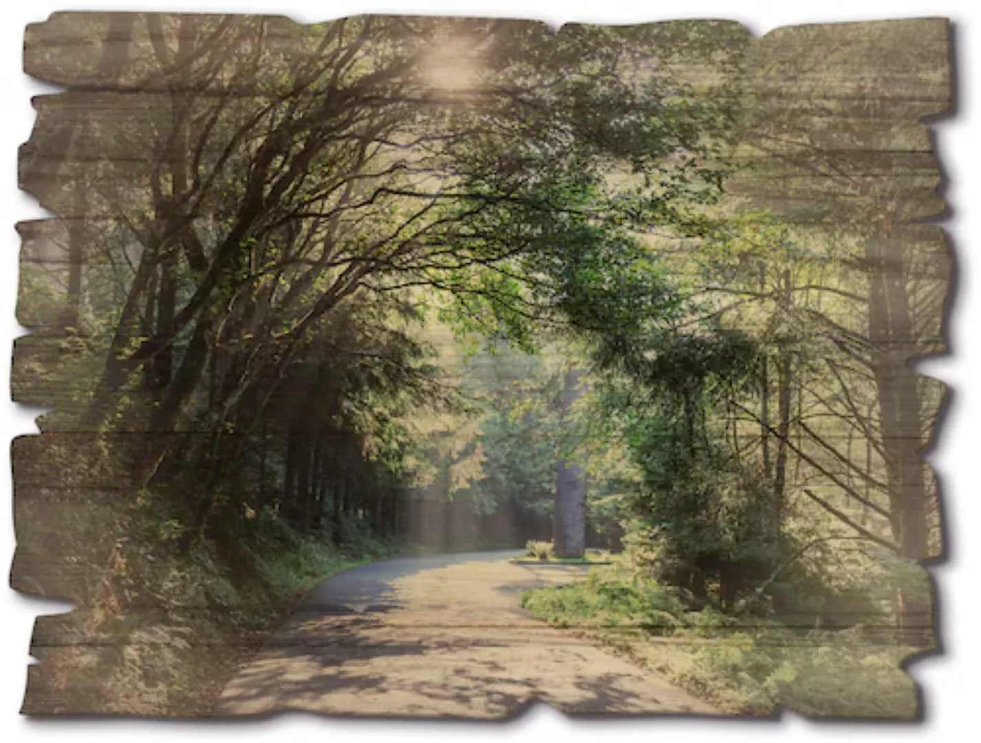 Artland Holzbild "Sonniger Wald", Landschaftsbilder, (1 St.) günstig online kaufen
