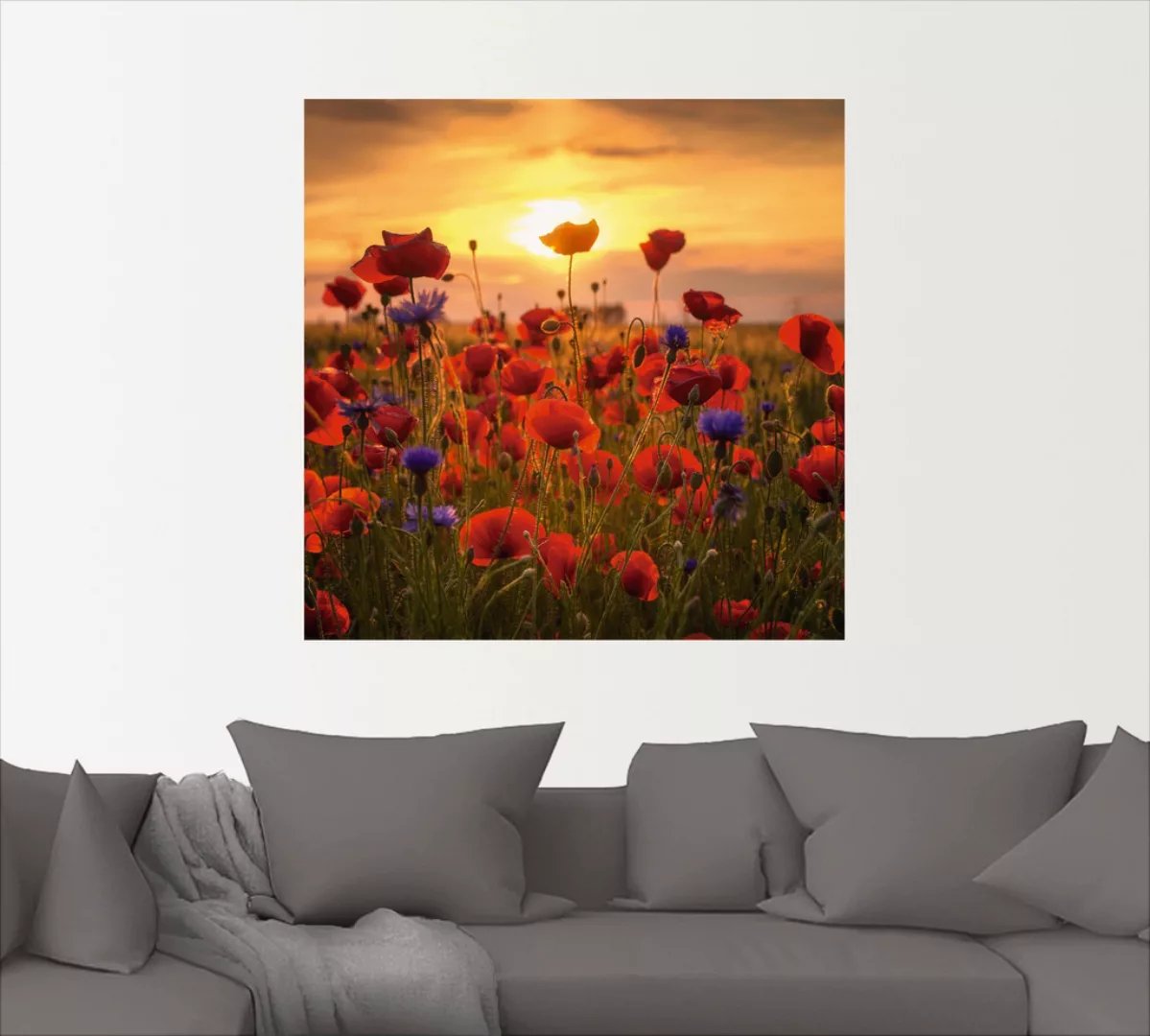 Artland Wandbild »Mohnblumen im Abendlicht«, Blumen, (1 St.), als Alubild, günstig online kaufen