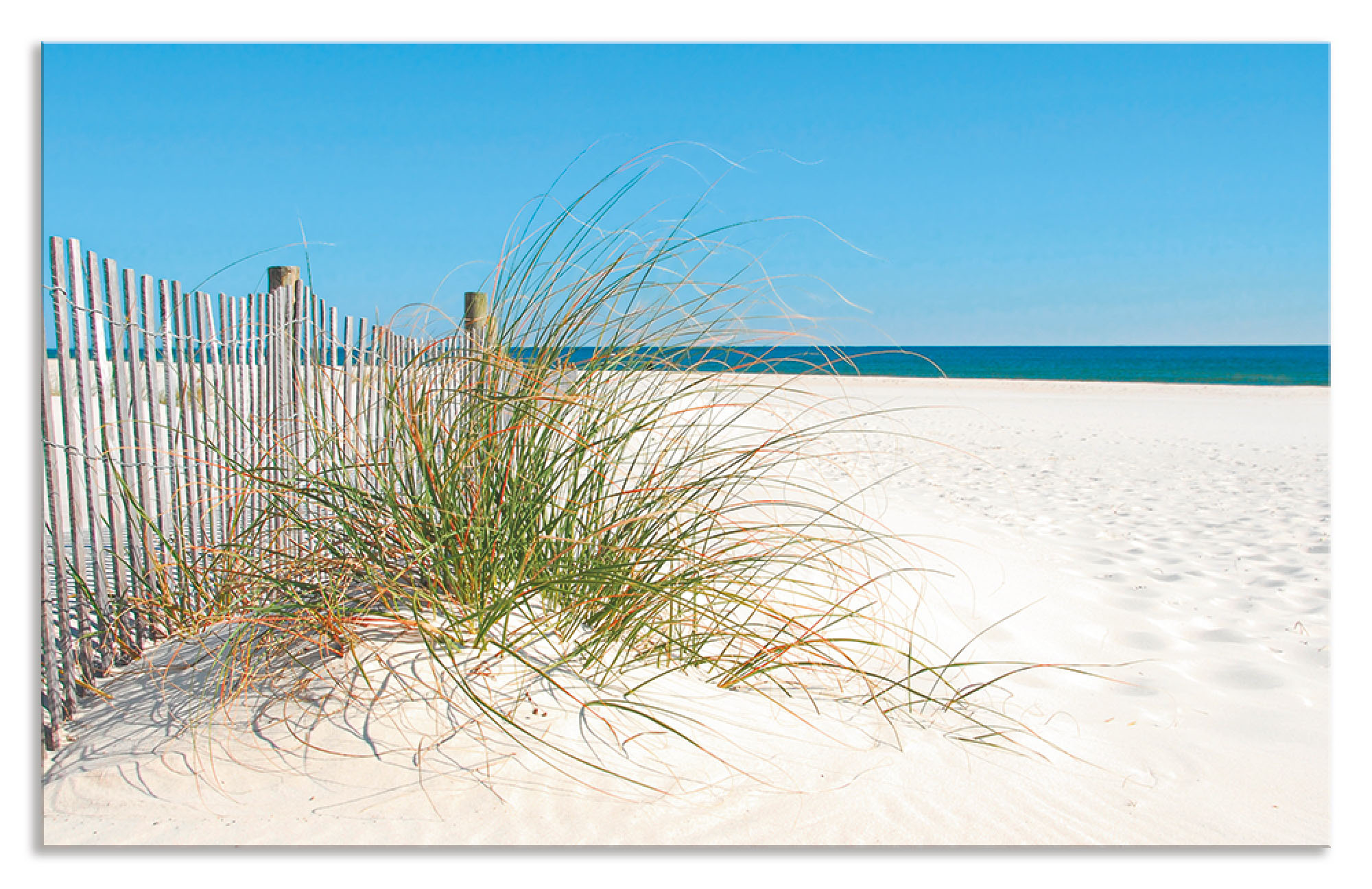 Artland Küchenrückwand "Schöne Sanddüne mit Gräsern und Zaun", (1 tlg.), Al günstig online kaufen