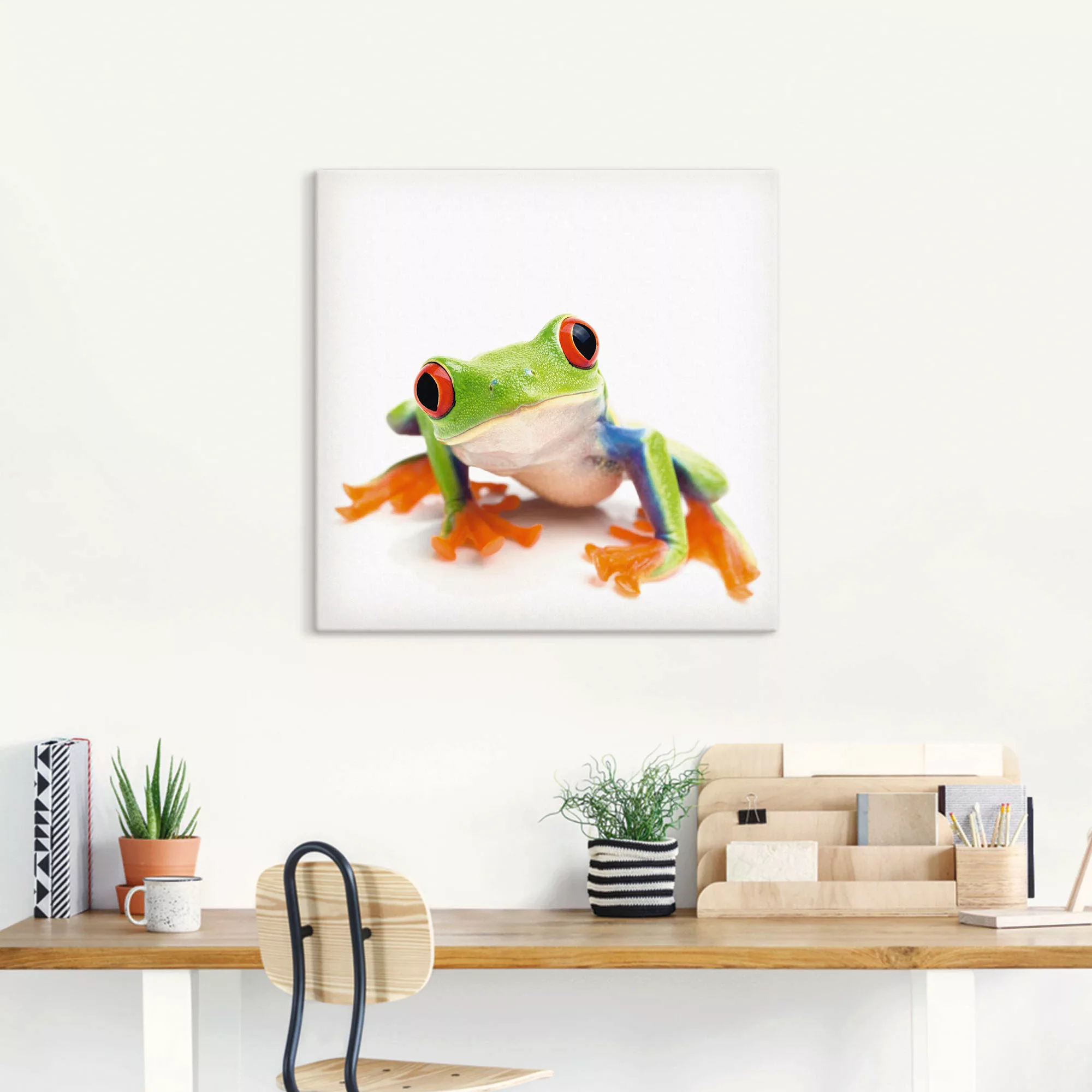 Artland Wandbild »Großaufnahme eines Frosches vor weiß«, Wassertiere, (1 St günstig online kaufen