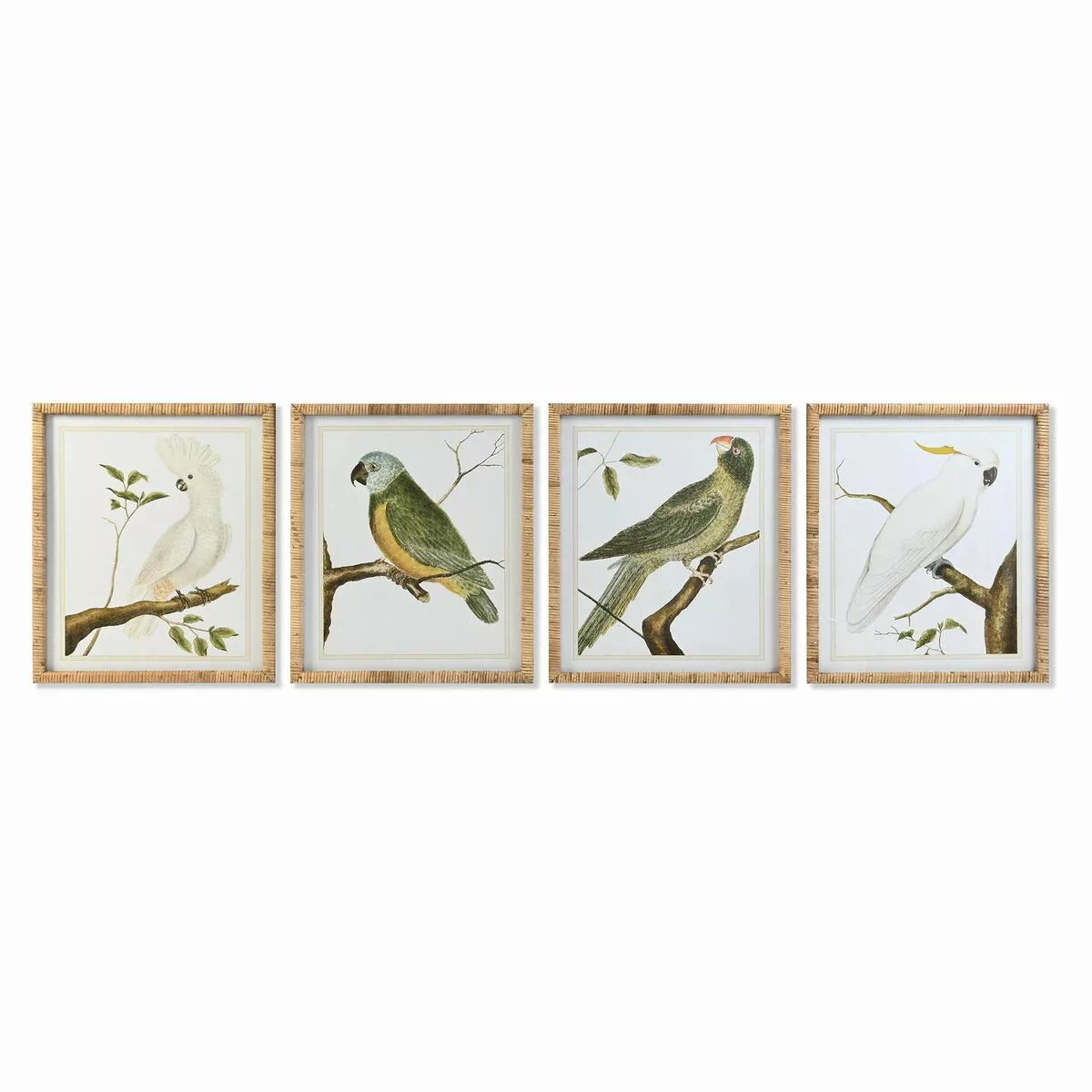 Bild Dkd Home Decor Tropical Vögel (50 X 2,5 X 60 Cm) (4 Stück) günstig online kaufen