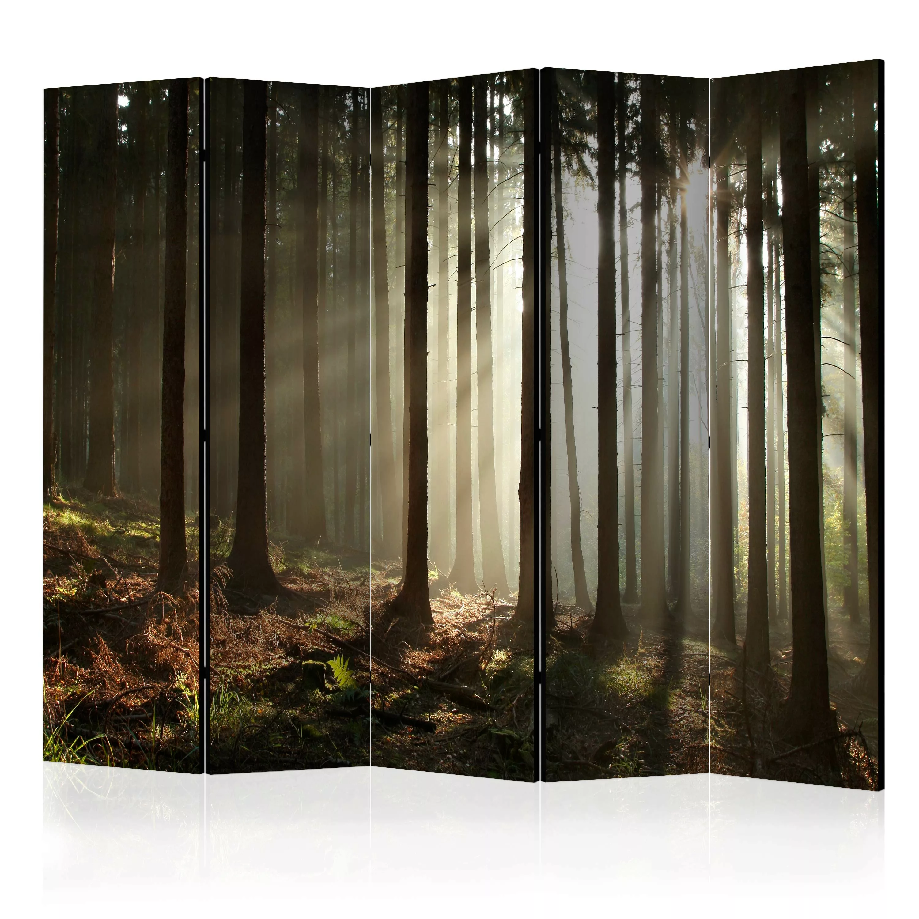 5-teiliges Paravent - Coniferous Forest Ii [room Dividers] günstig online kaufen