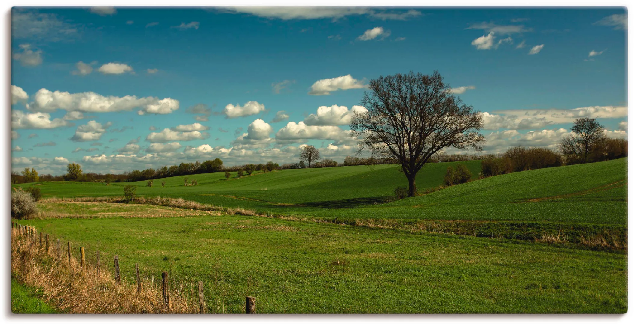 Artland Wandbild "Natur pur", Felder, (1 St.), als Leinwandbild, Wandaufkle günstig online kaufen