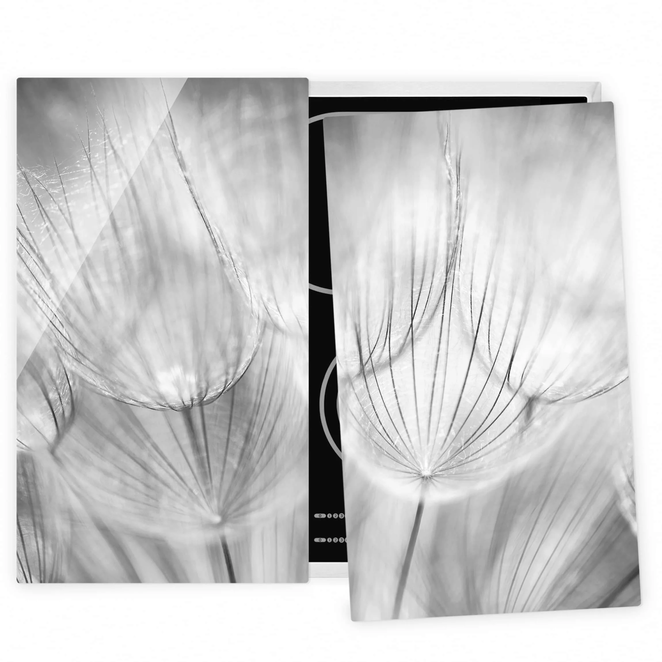 2-teilige Herdabdeckplatte Glas Blumen Pusteblumen Makroaufnahme in schwarz günstig online kaufen