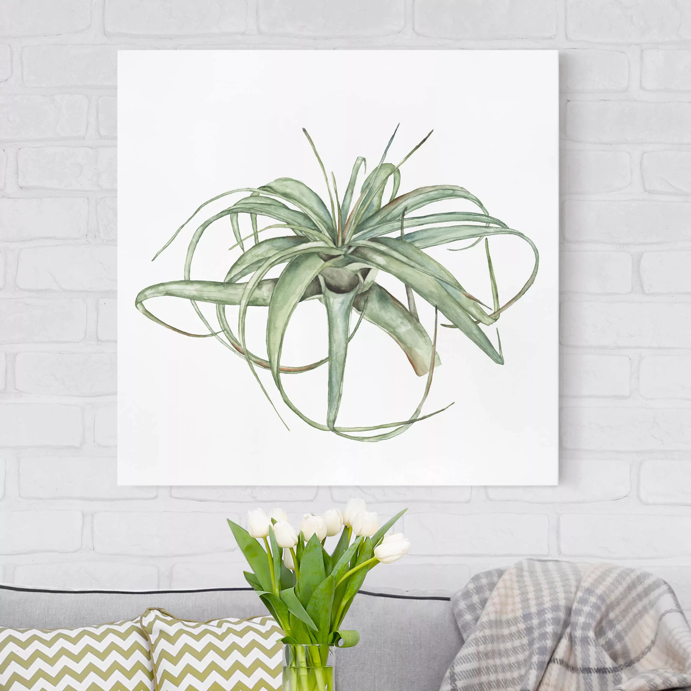 Leinwandbild Botanik - Quadrat Luftpflanze Aquarell I günstig online kaufen