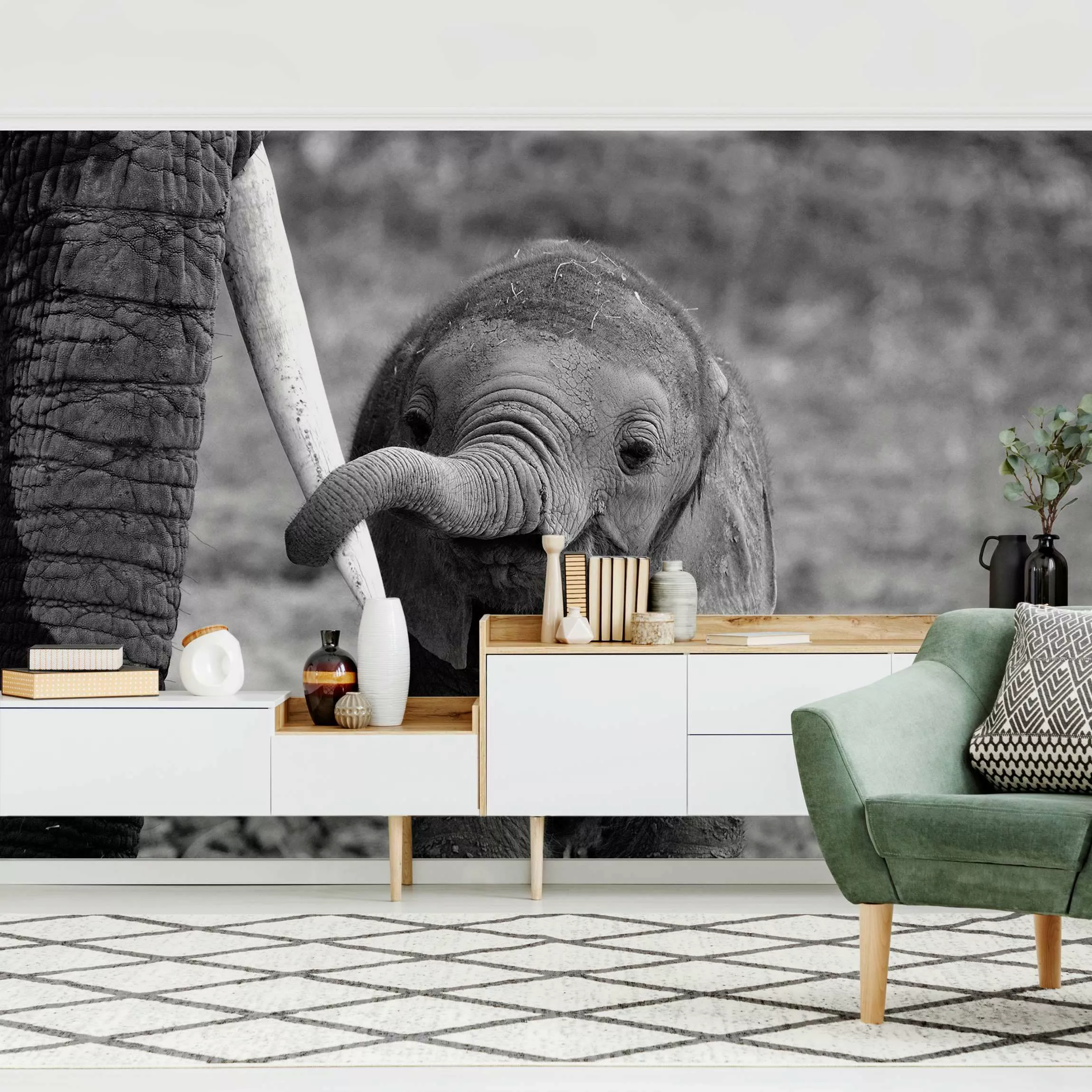 Fototapete Elefantenbaby günstig online kaufen