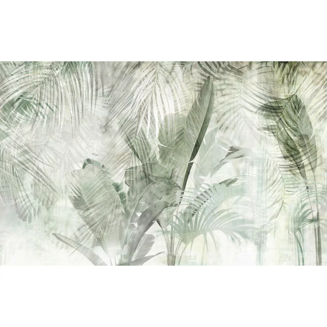 Komar Vliestapete »Digitaldruck Vlies - Botanical Boho - Größe 400 x 250 cm günstig online kaufen