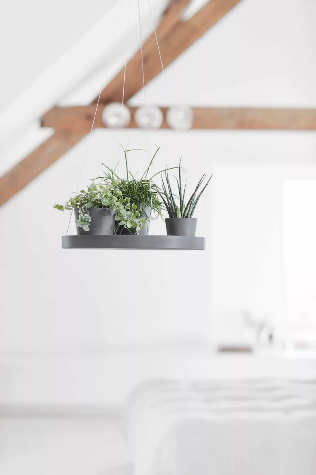 Ecopots Untersetzer Hängend Grau 36 cm x 3 cm günstig online kaufen