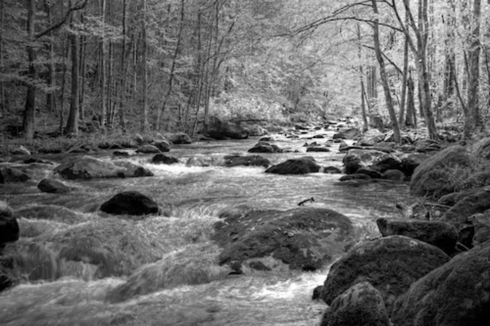 Papermoon Fototapete »Fluss im Wald Schwarz & Weiß« günstig online kaufen