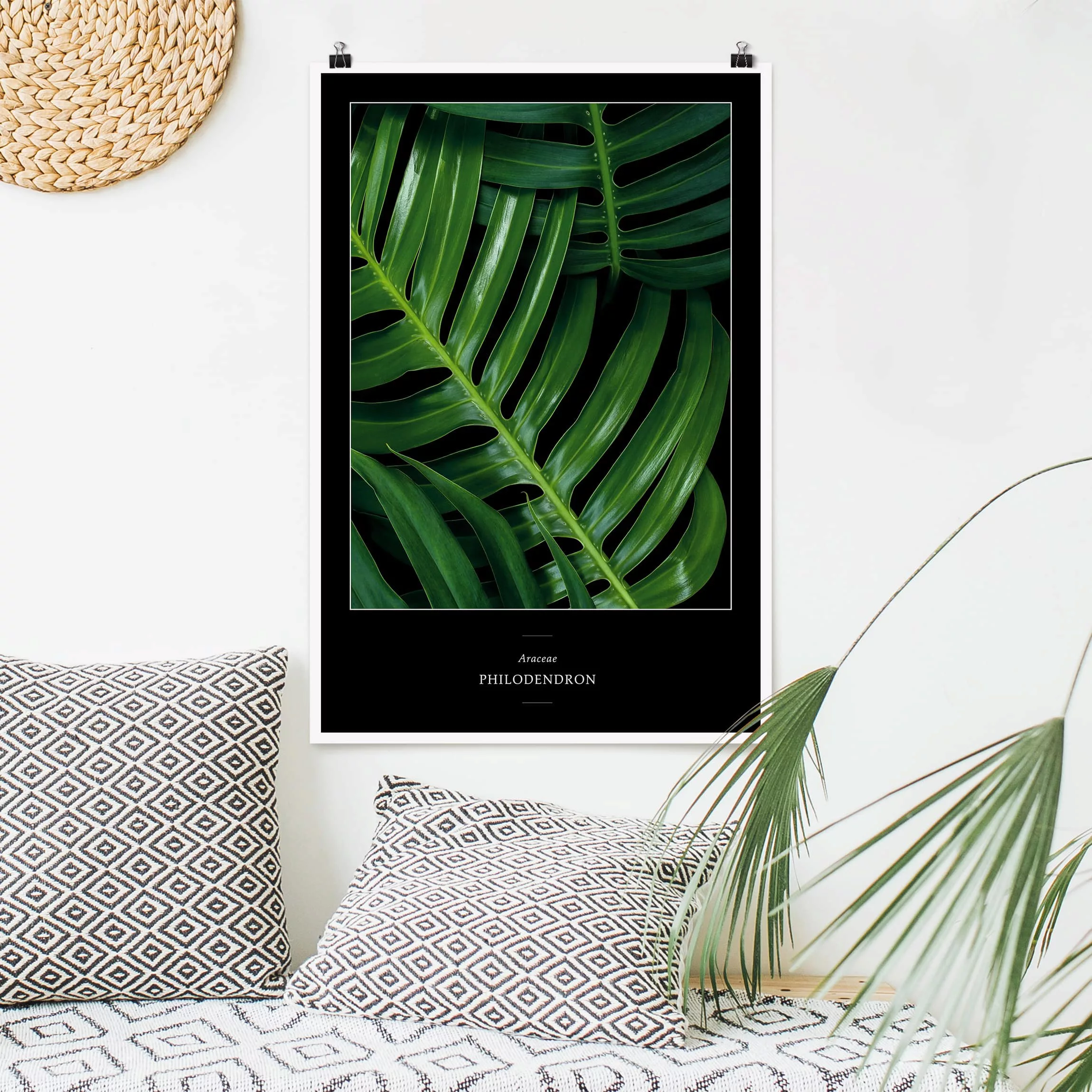 Poster Blumen - Hochformat Tropische Blätter Philodendron günstig online kaufen