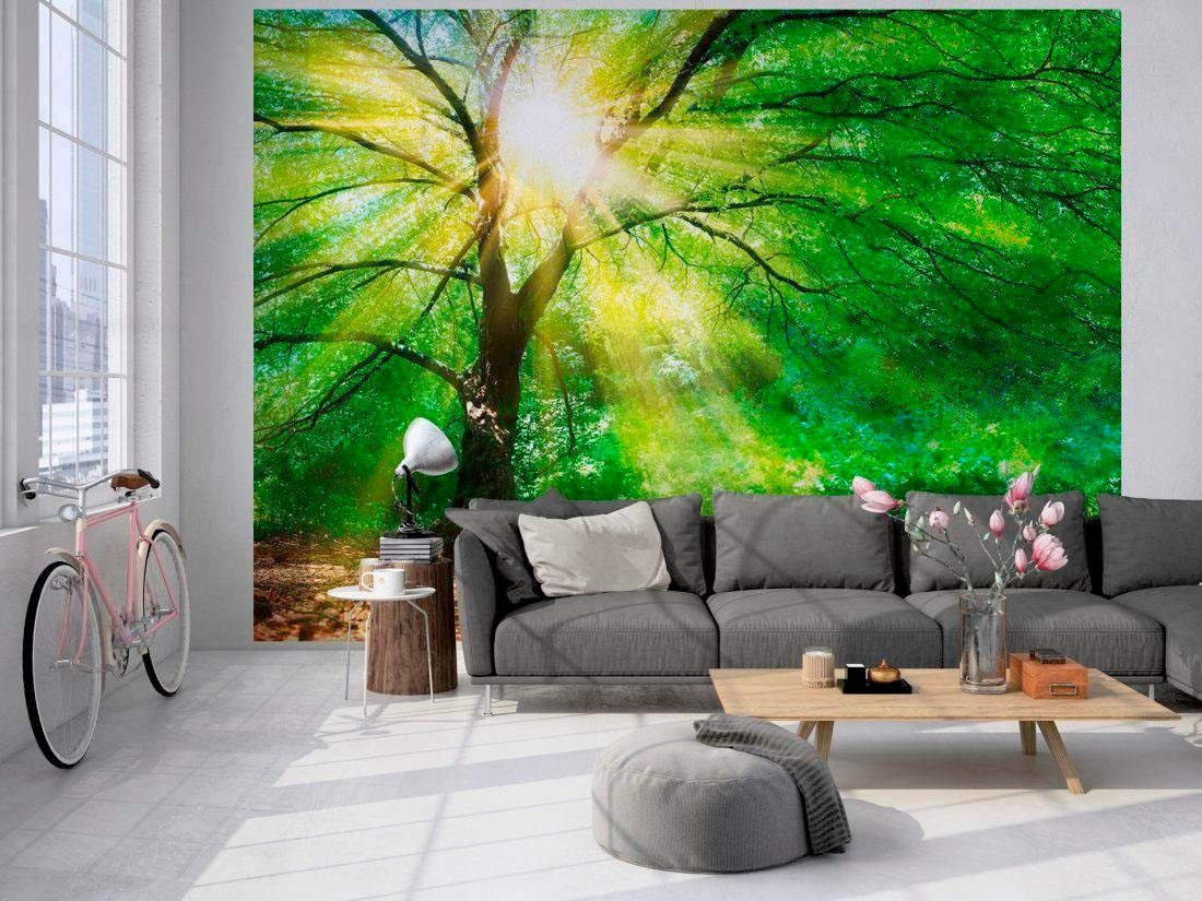 living walls Fototapete »Wald im Licht Vlies«, Vlies, Wand, Schräge günstig online kaufen