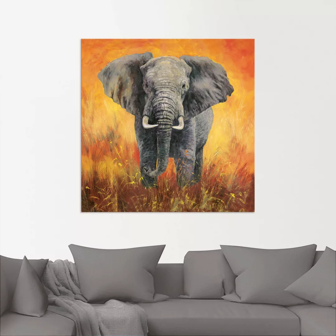 Artland Wandbild "Porträt Elefant", Elefanten Bilder, (1 St.), als Alubild, günstig online kaufen