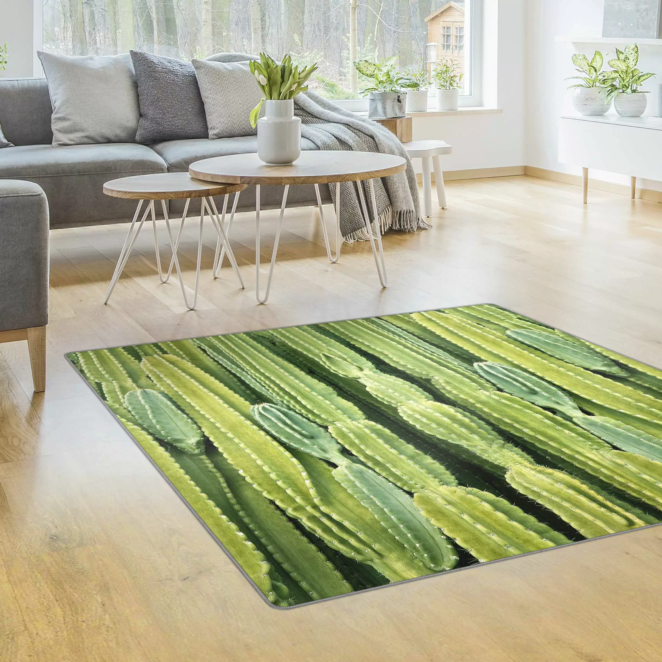 Teppich Kaktus Wand günstig online kaufen