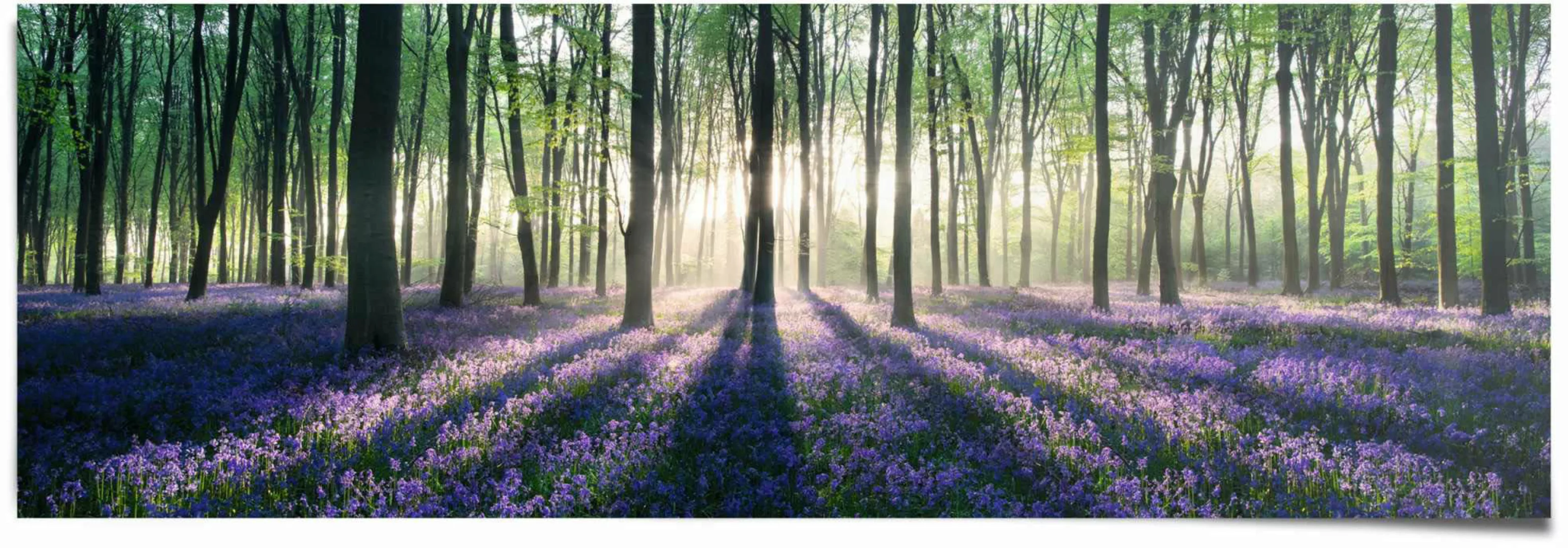 Reinders Poster "Glockenblumen im Wald", (1 St.) günstig online kaufen