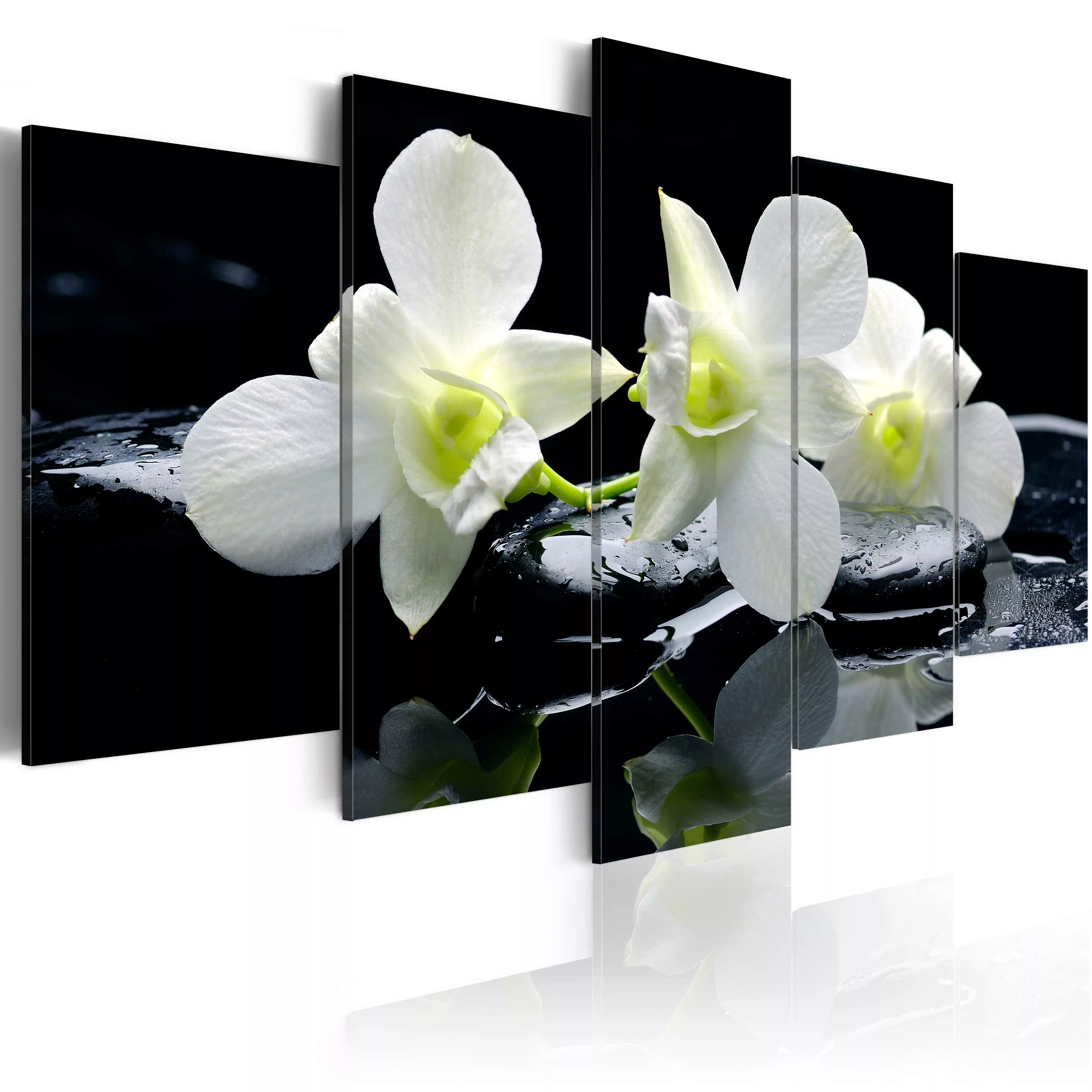 Wandbild - Melancholic orchids günstig online kaufen