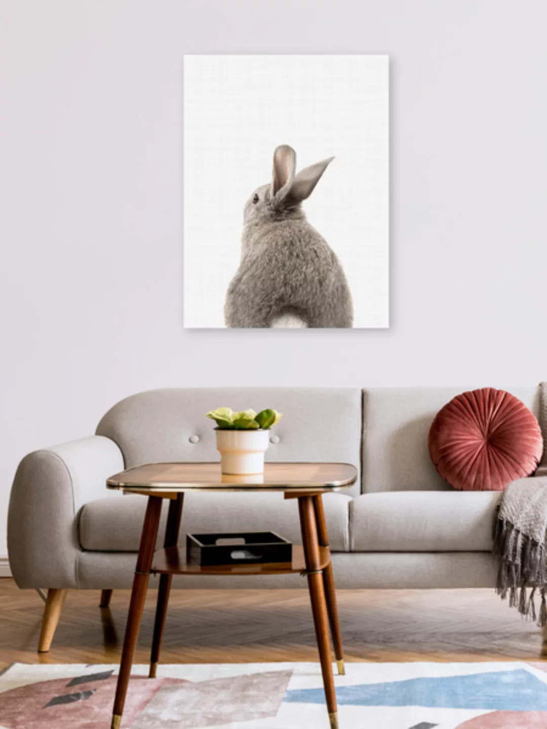 Poster / Leinwandbild - Rabbit Tail günstig online kaufen