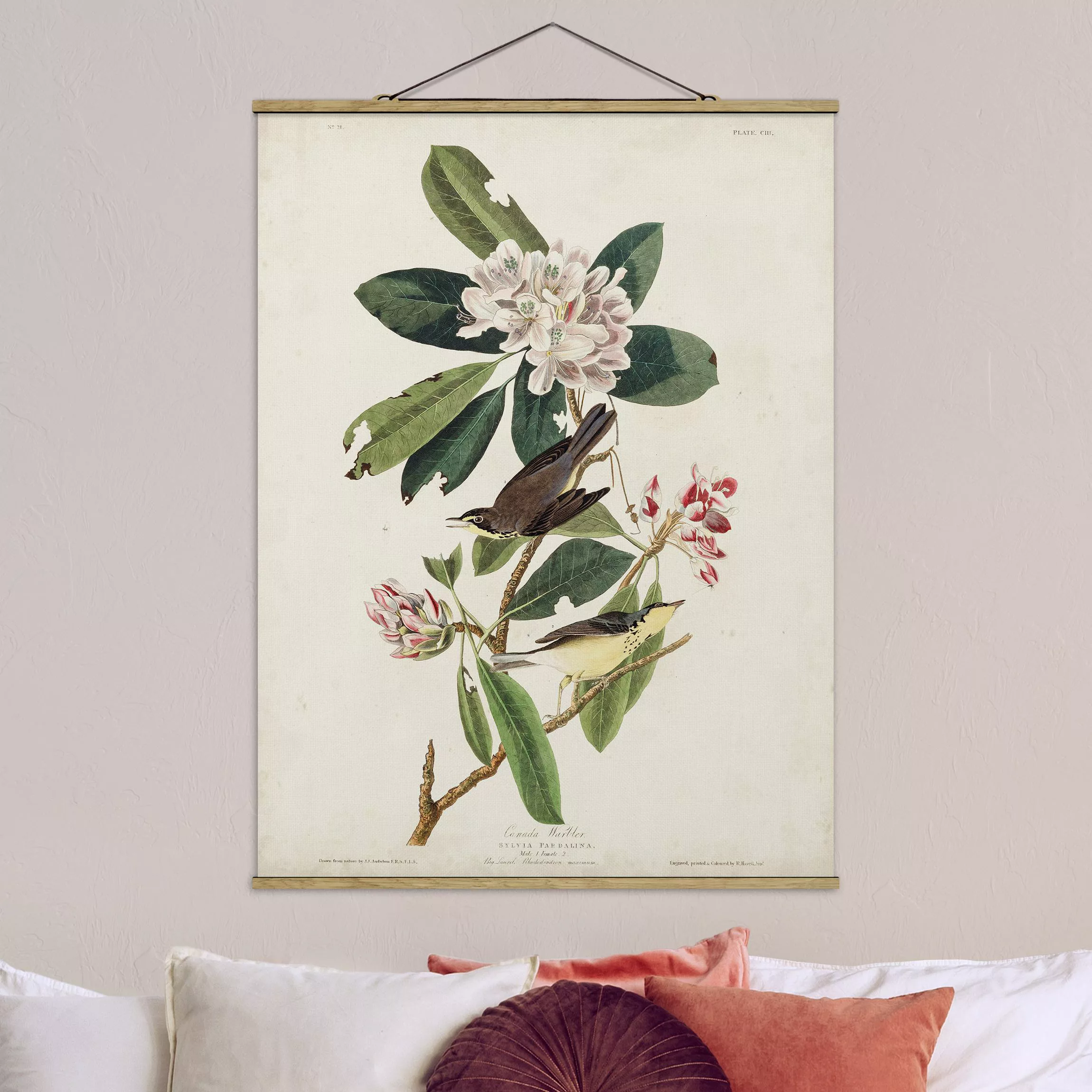 Stoffbild Blumen mit Posterleisten - Hochformat Vintage Lehrtafel Grasmücke günstig online kaufen