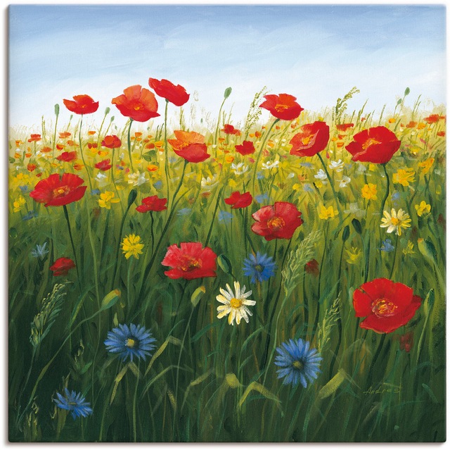 Artland Wandbild »Mohnblumen Landschaft I«, Blumenwiese, (1 St.), als Alubi günstig online kaufen