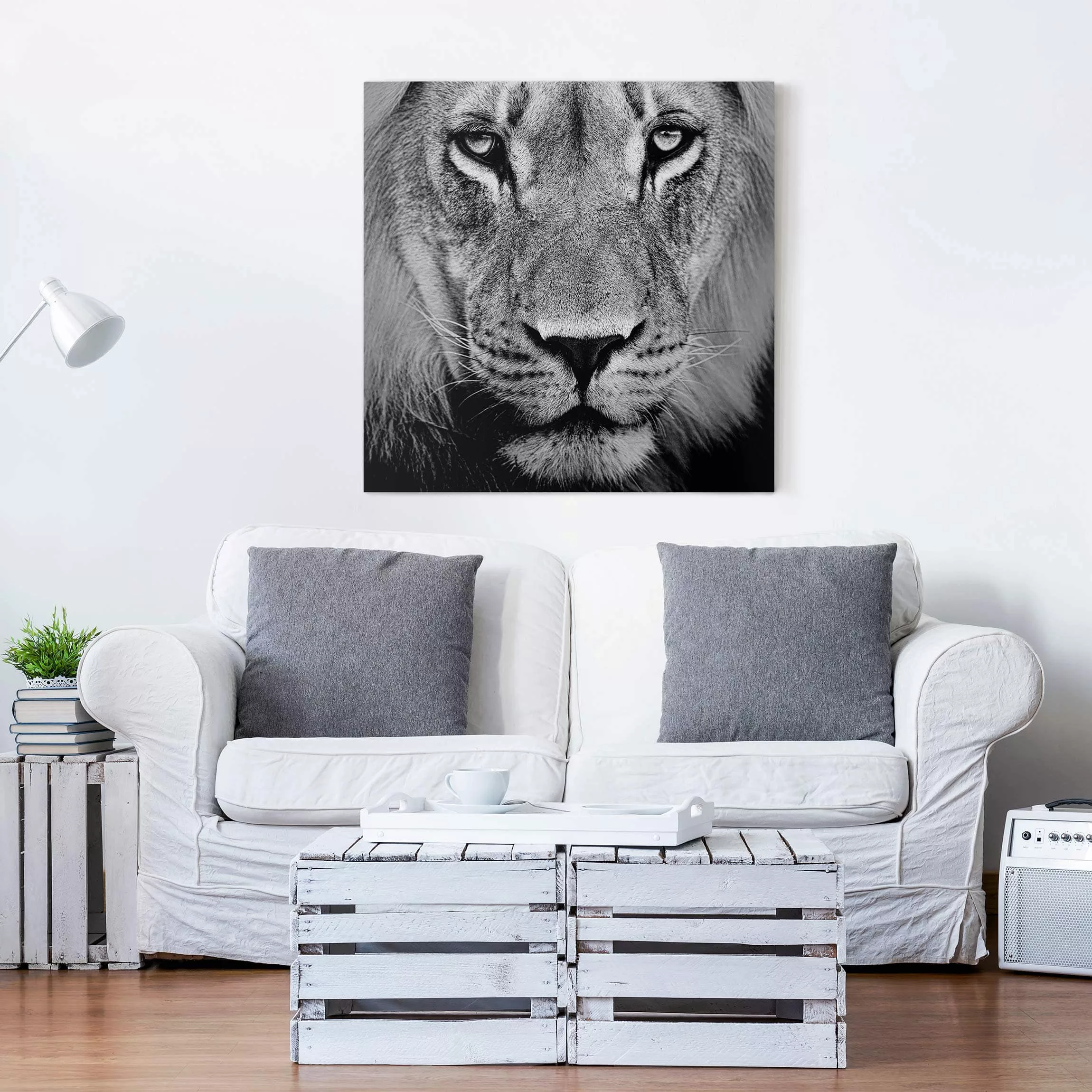 Leinwandbild Tiere - Quadrat Alter Löwe günstig online kaufen