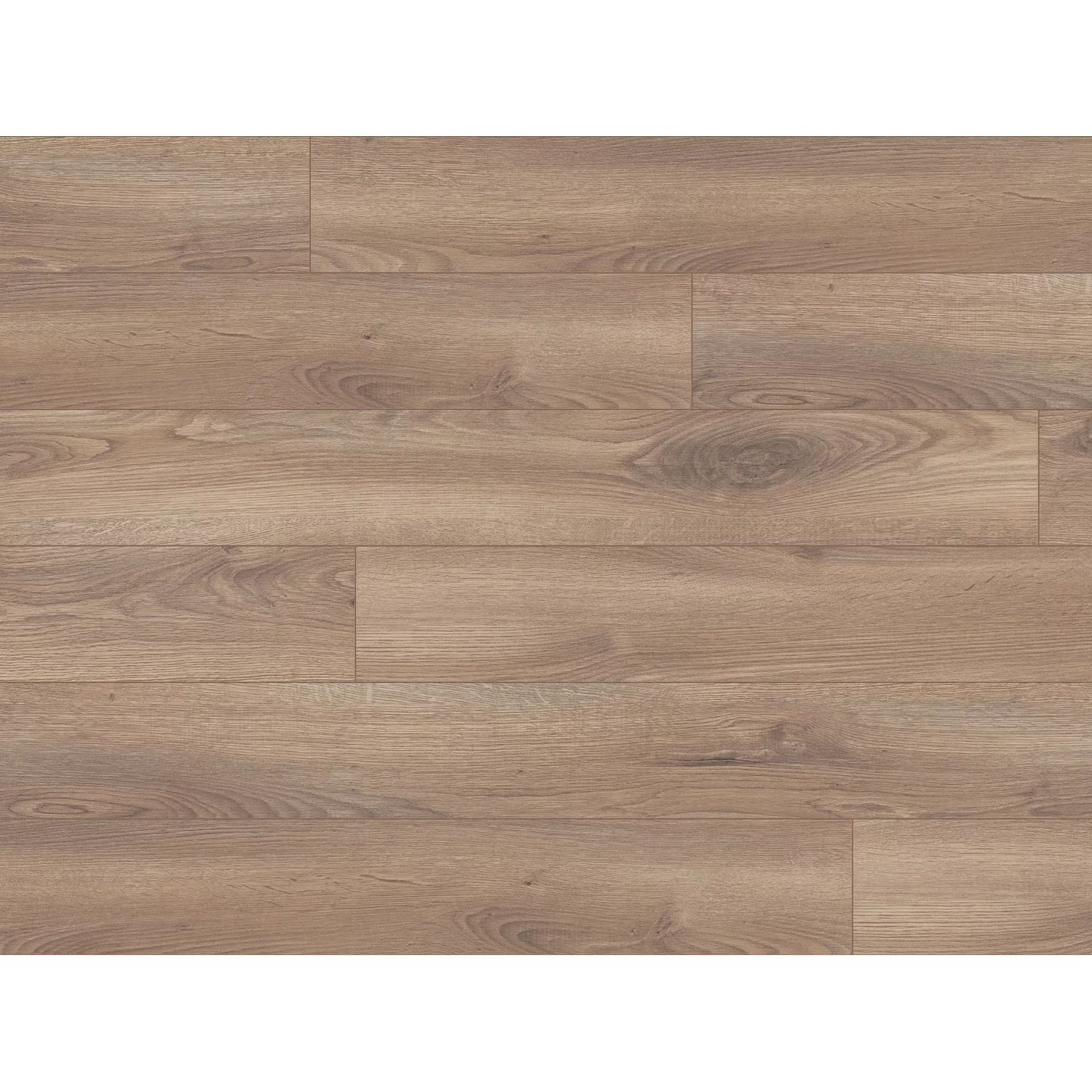 Masterfloor Laminatboden 8.0 Eiche Marineo günstig online kaufen