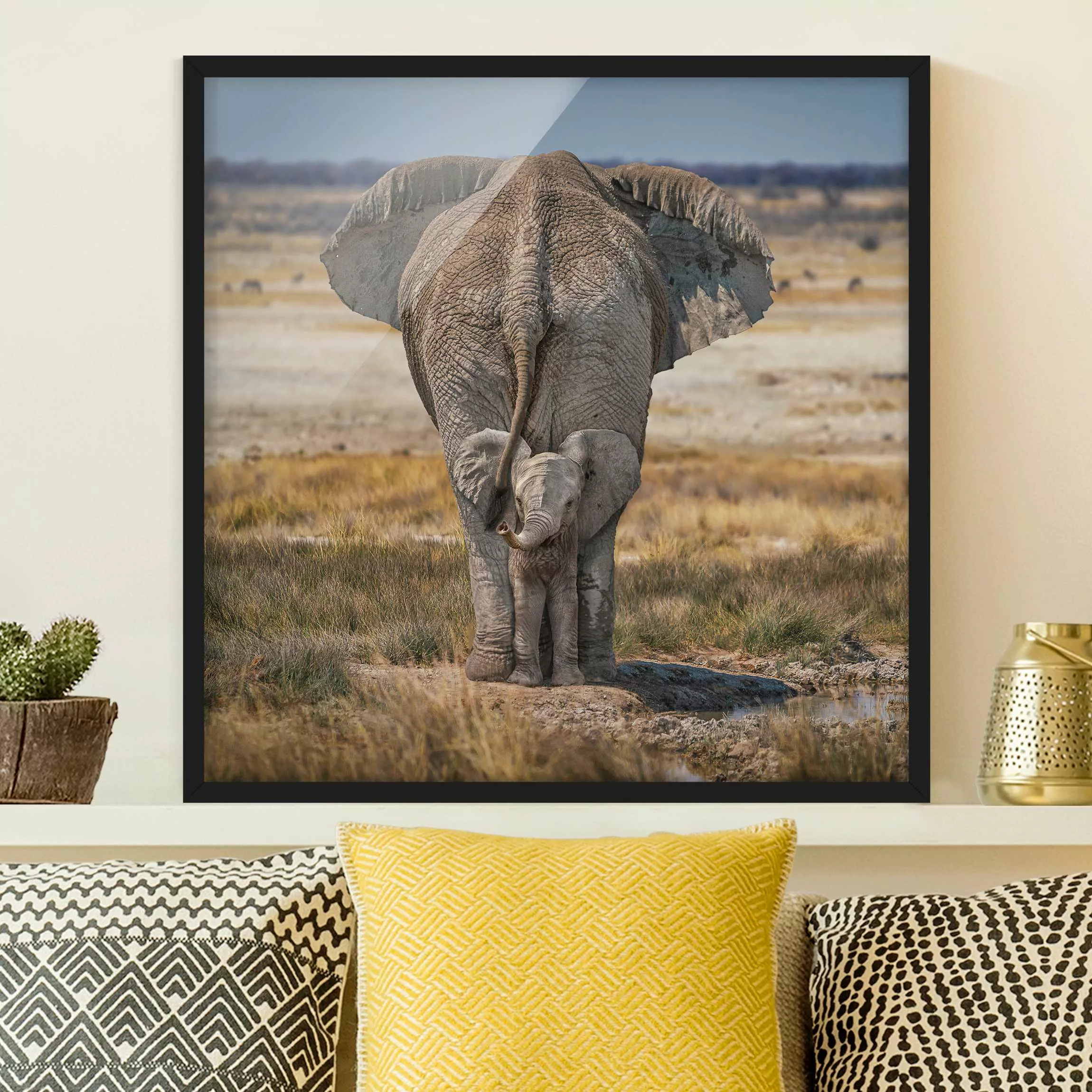 Bild mit Rahmen Frecher Elefant günstig online kaufen