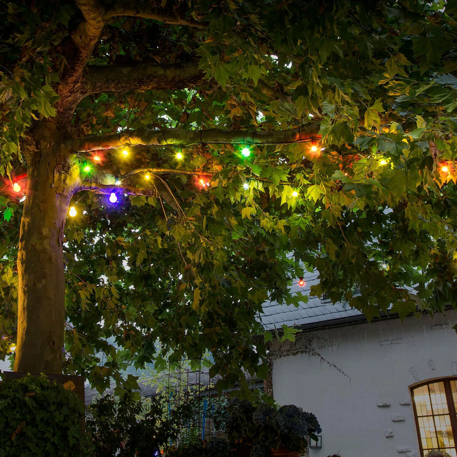 LED-Lichterkette Biergarten Basis-Set, bunt günstig online kaufen