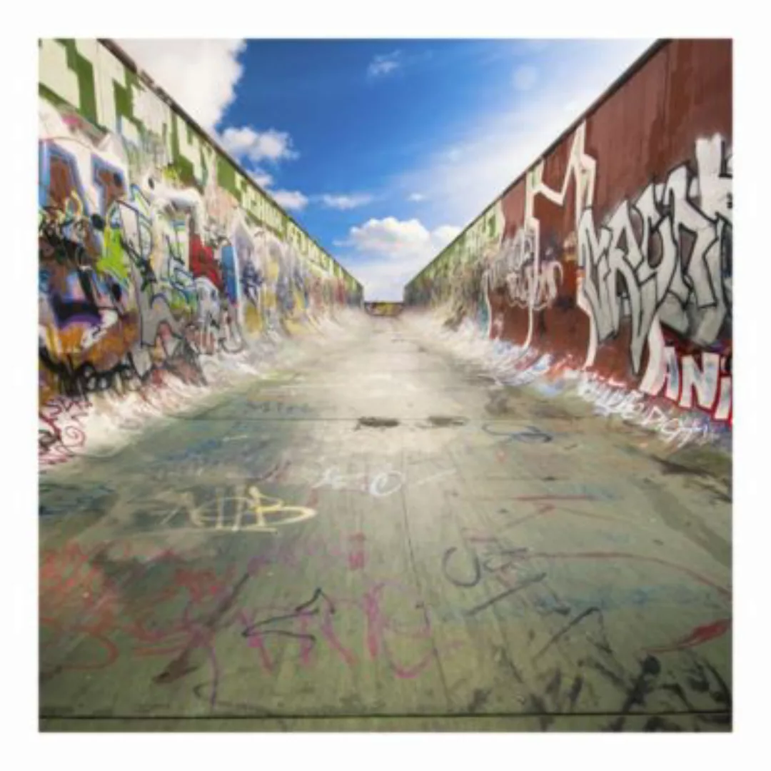 Bilderwelten Kindertapete Skate Graffiti blau Gr. 384 x 255 günstig online kaufen