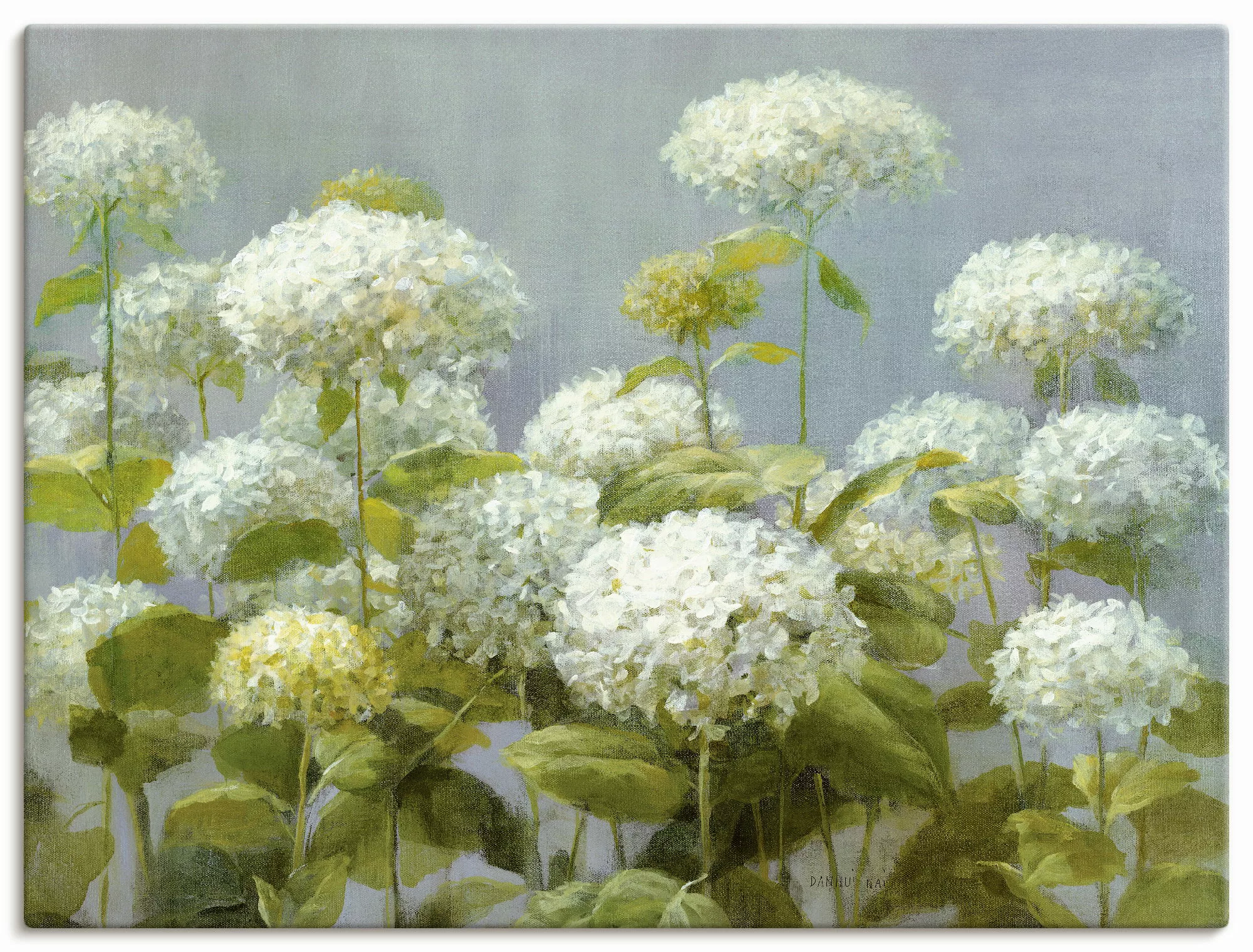 Artland Wandbild "Weißer Hortensien Garten", Blumen, (1 St.) günstig online kaufen