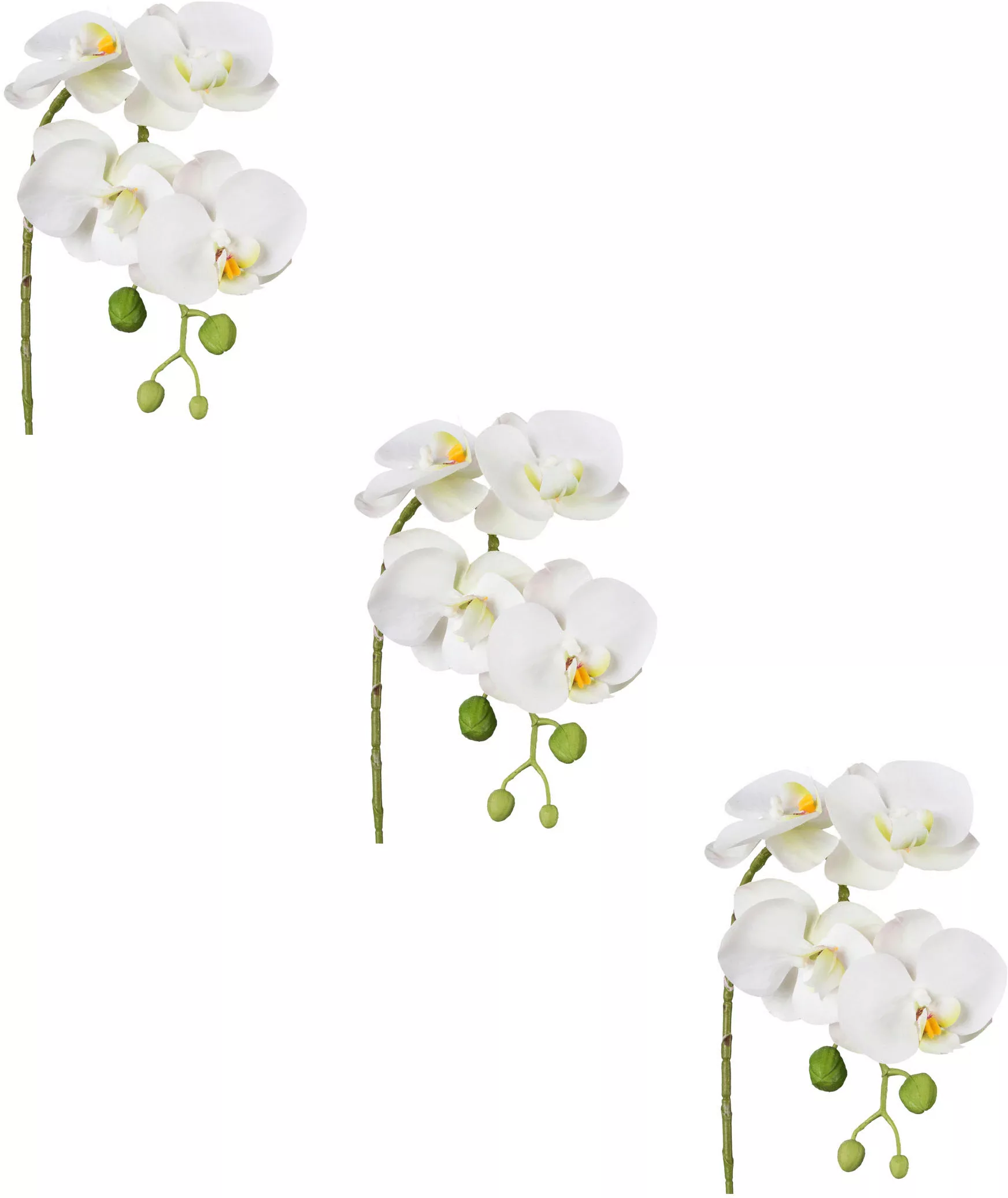 Creativ green Kunstblume "Phalaenopsis 3D-print" günstig online kaufen