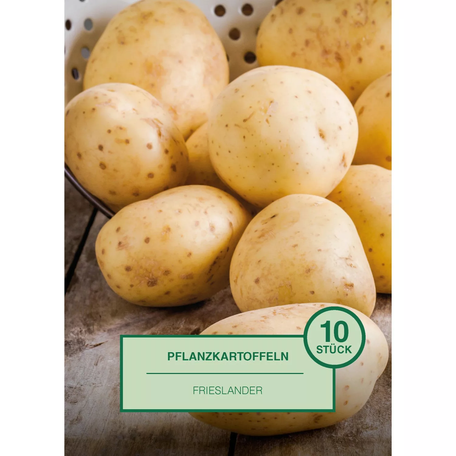 Pflanzkartoffel 10 Stück Solanum tuberosum Frieslander günstig online kaufen