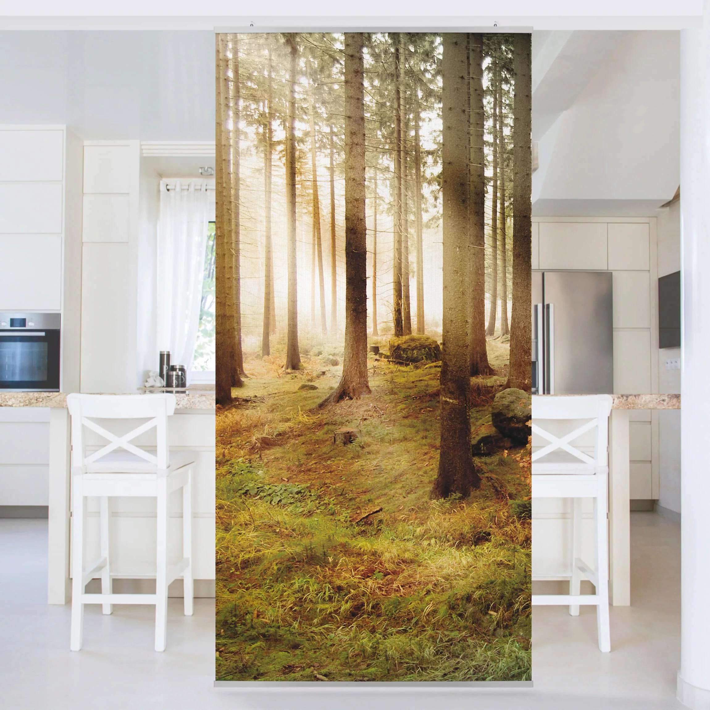 Raumteiler Natur & Landschaften No.CA48 Morning Forest günstig online kaufen