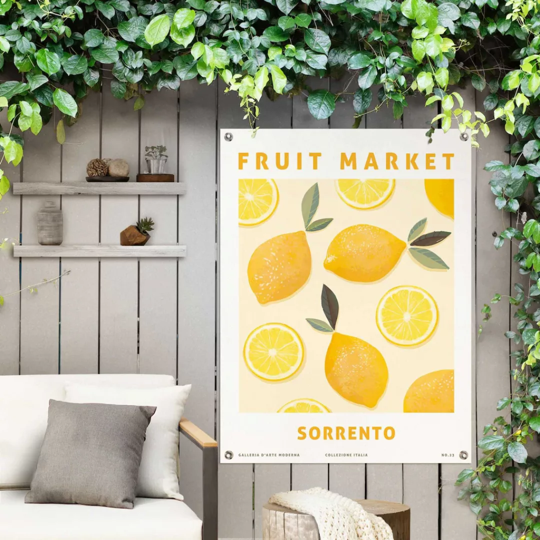Reinders Poster "Zitronen", Outdoor für Garten oder Balkon günstig online kaufen