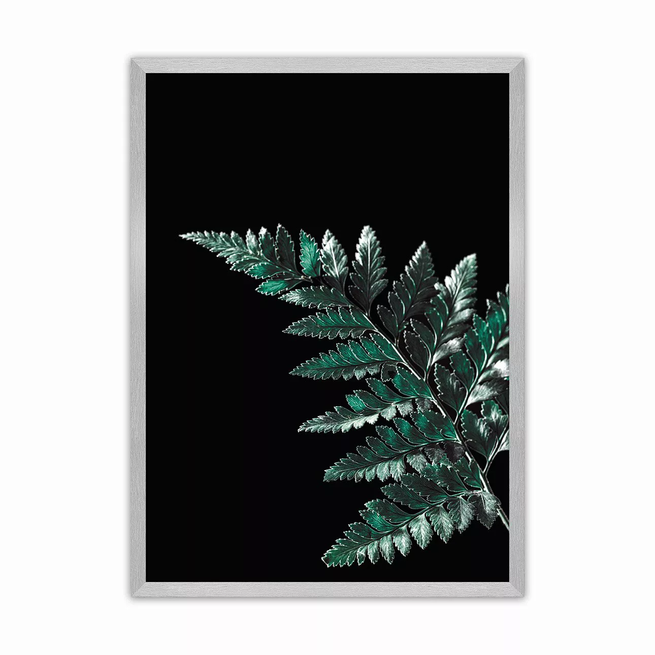 Poster Dark Fern Leaf, 70 x 100 cm, Rahmen wählen: silber günstig online kaufen
