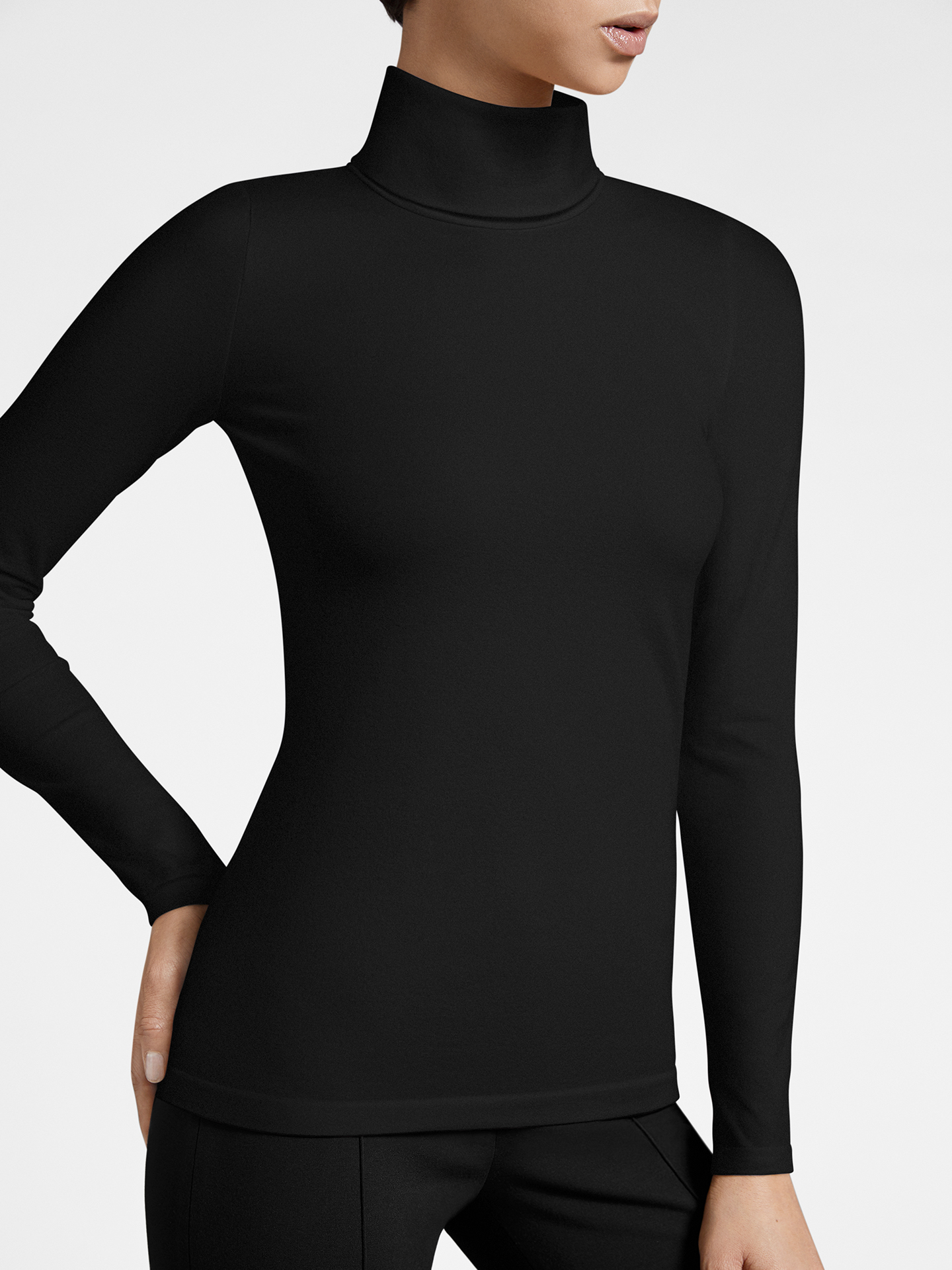 Wolford - Turtleneck Top Long Sleeves, Frau, black, Größe: L günstig online kaufen