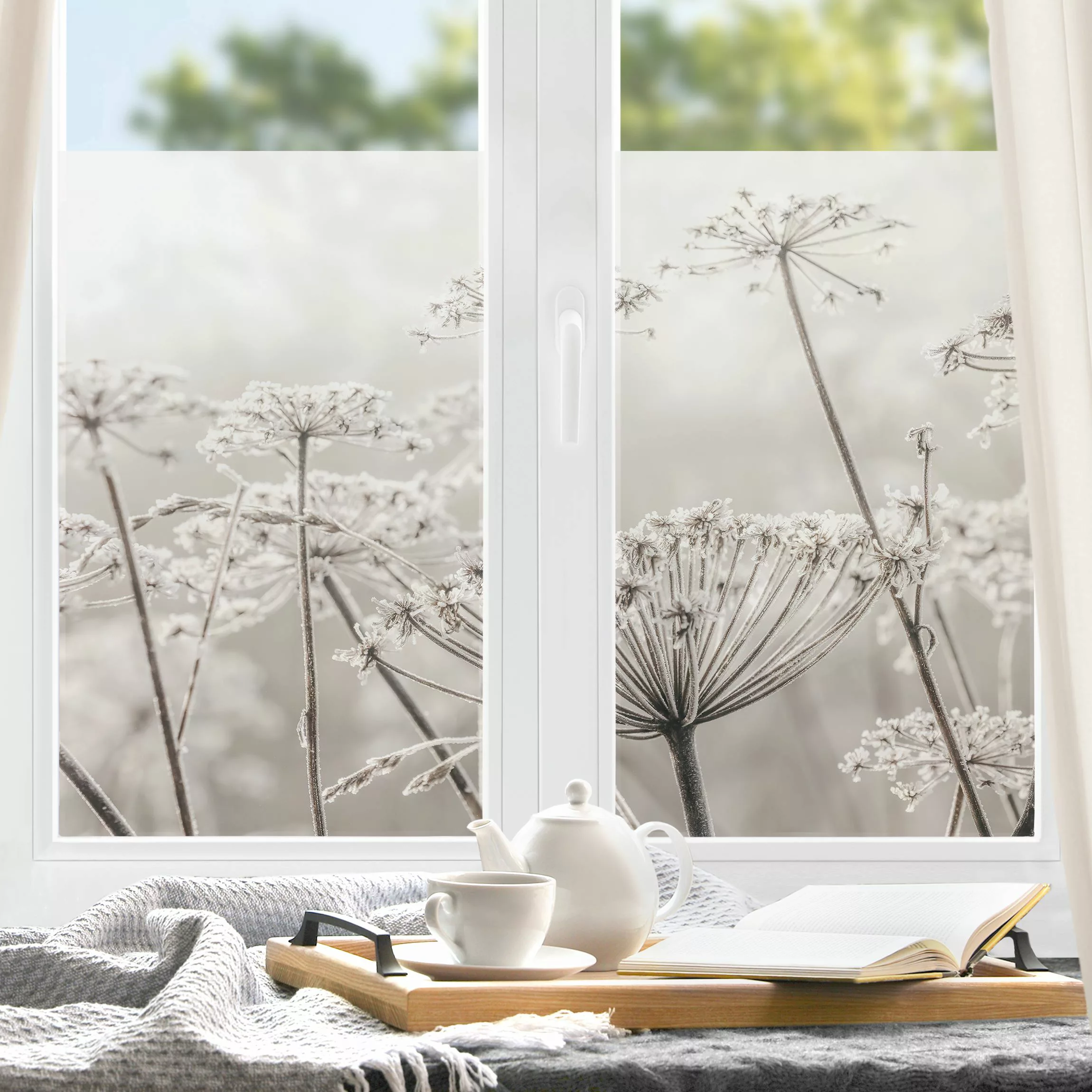 Fensterfolie Doldenblüten im Frost günstig online kaufen