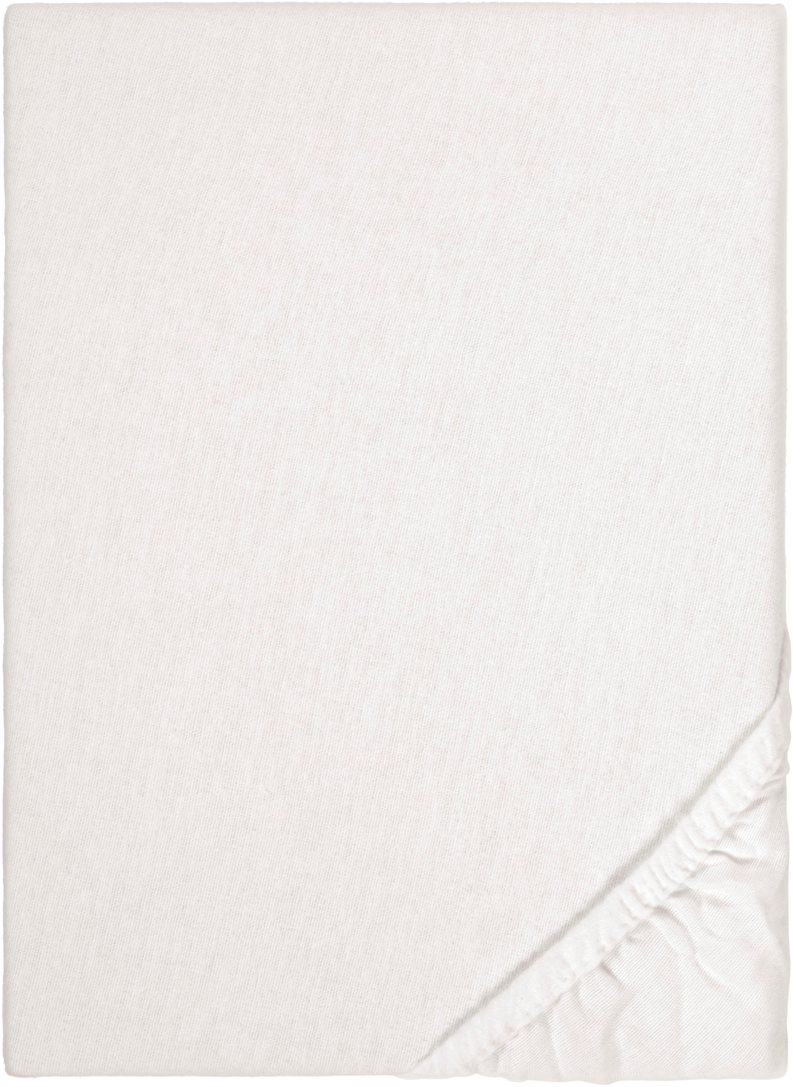 Biberna Spannbettlaken Biber in Gr. 90x200, günstig online kaufen