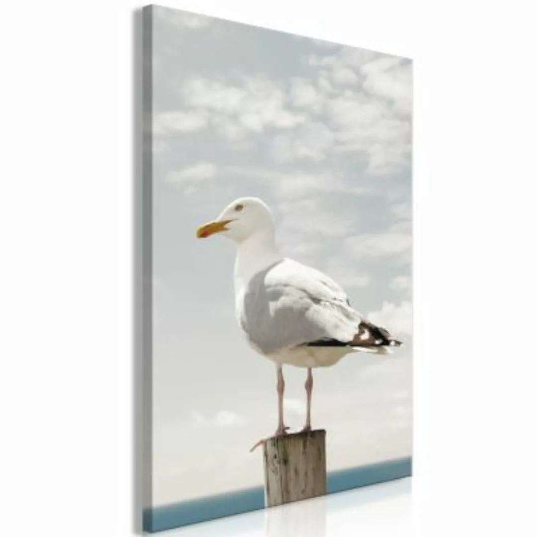 artgeist Wandbild Seagull (1 Part) Vertical mehrfarbig Gr. 40 x 60 günstig online kaufen