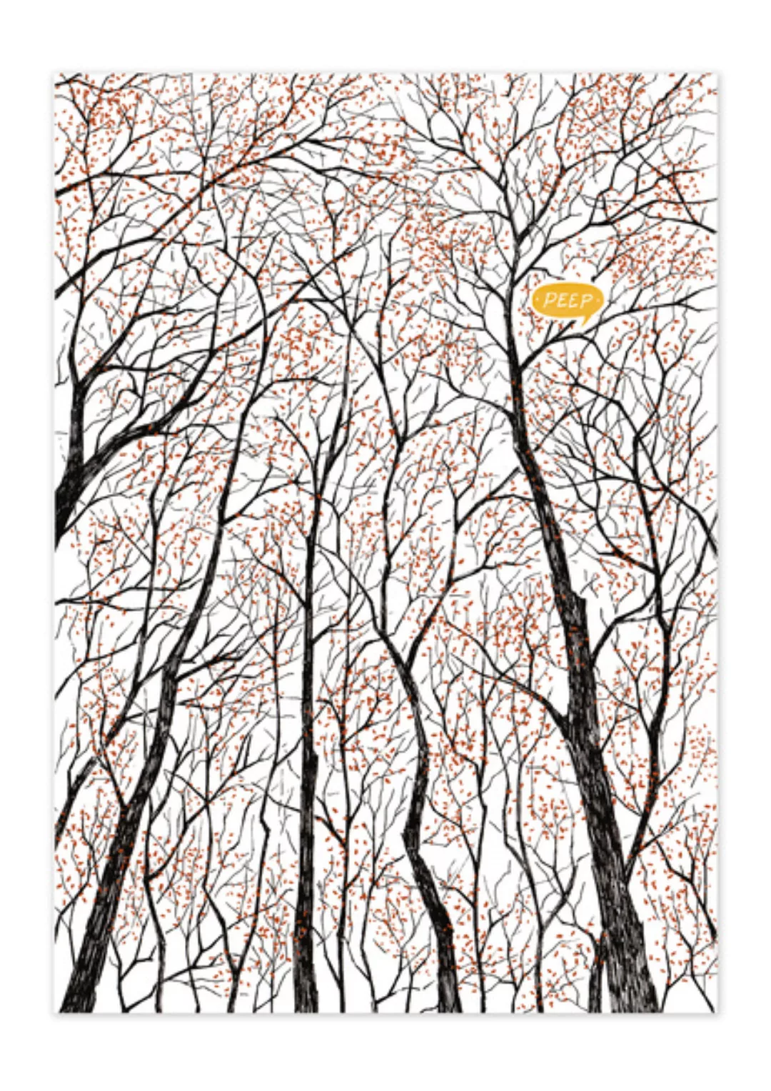 Poster Nature Forest Peep Matt günstig online kaufen