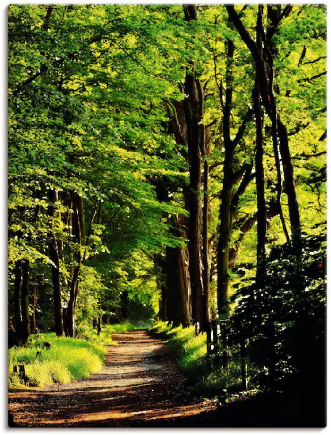 Artland Wandbild "Weg im Wald", Wald, (1 St.), als Alubild, Outdoorbild, Le günstig online kaufen