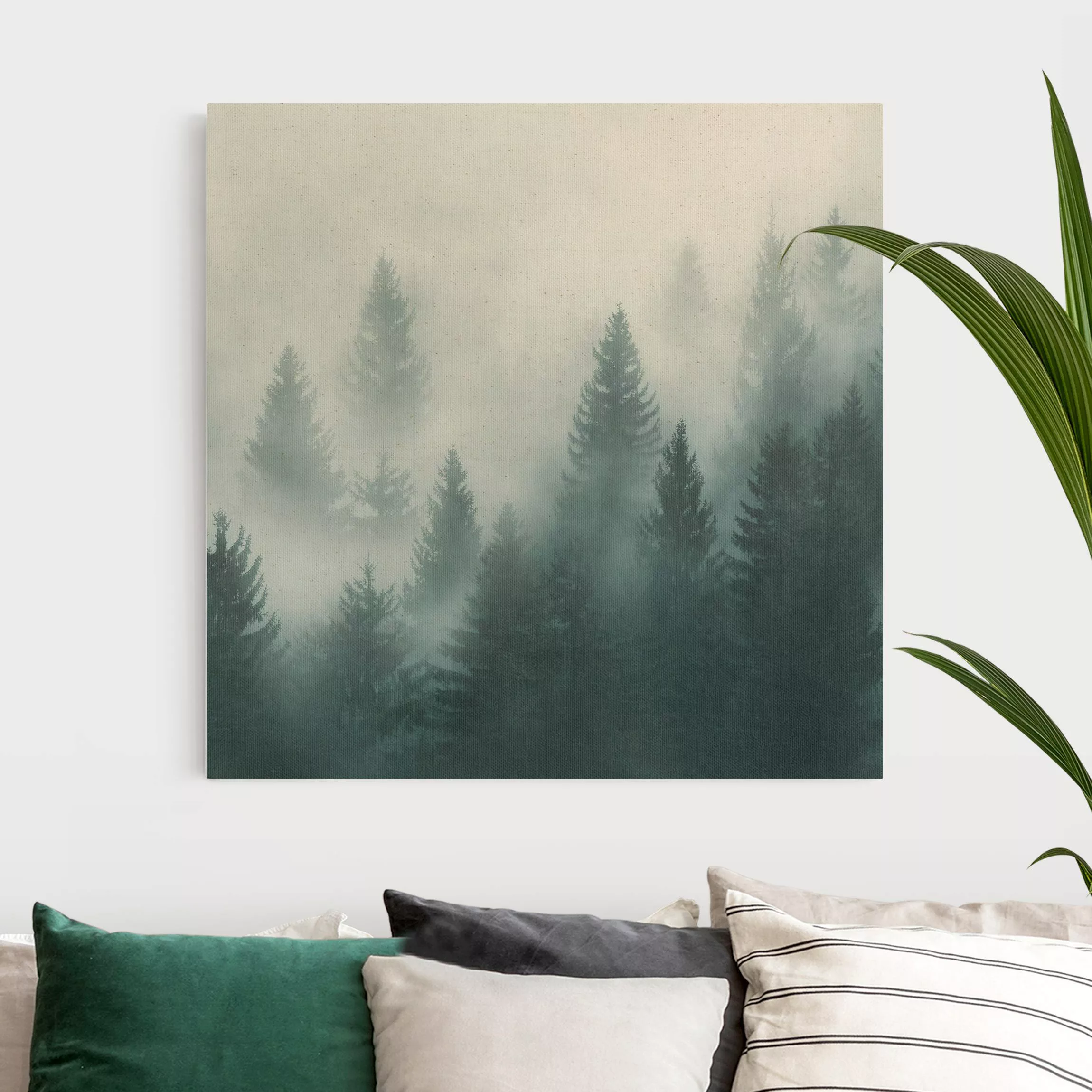 Leinwandbild auf Naturcanvas Nadelwald im Nebel günstig online kaufen