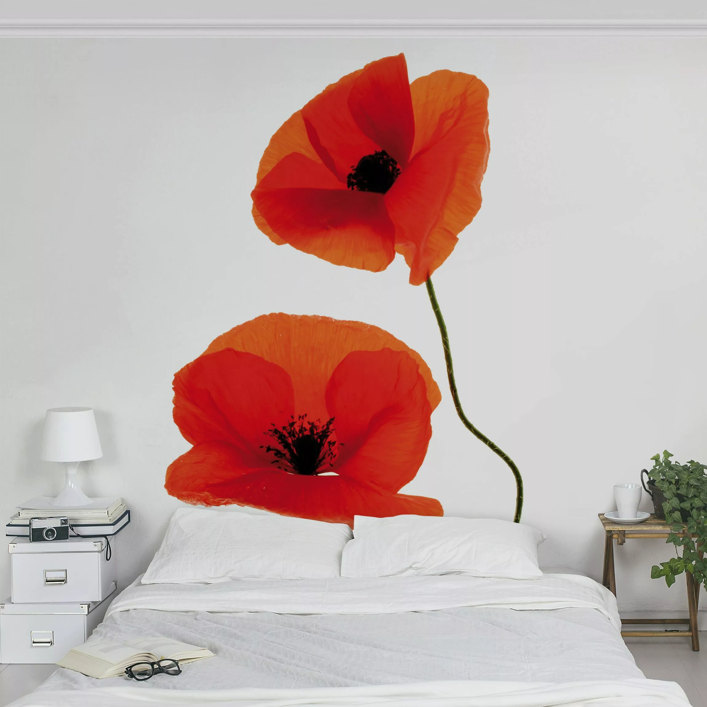 Fototapete Charming Poppies günstig online kaufen